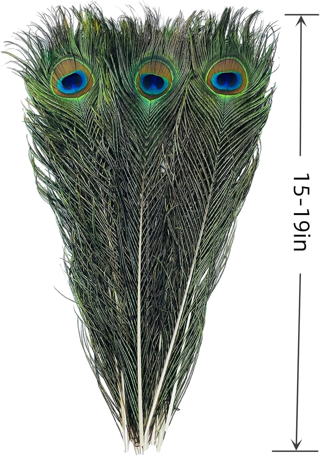 Peacock Feather -20Pcs 15-19in (40-50 cm), Bulk Natural Long Peacock Feathers for Crafts or Vase or Party Decorations.