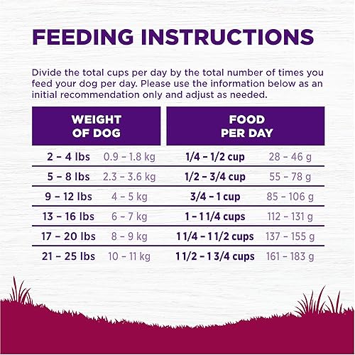 Miniatura 8 de Wellness Complete Health Small Breed Dry Dog Food with Grains Natural Ingredients Made in USA with Real Turkey for Dogs Up to 25 lbs Puppy Adult