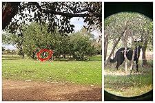 Review Image by JayBird JayBird