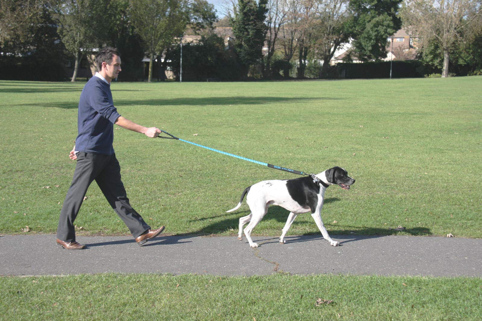 ROK Straps Medium Leash, Reflective Black