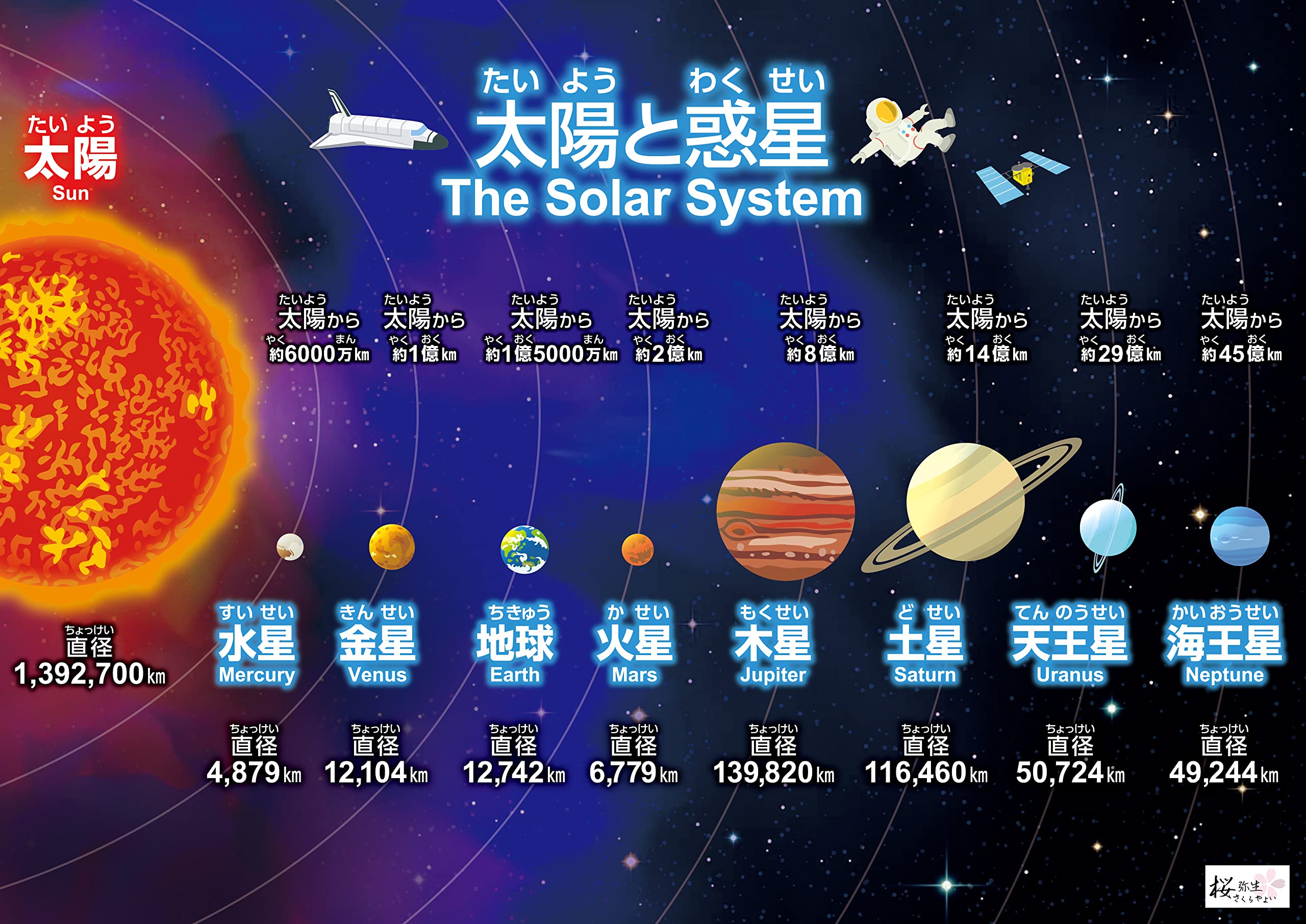 Amazon.co.jp: 桜弥生 お風呂ポスター5枚セット日本の四季、星空と星座