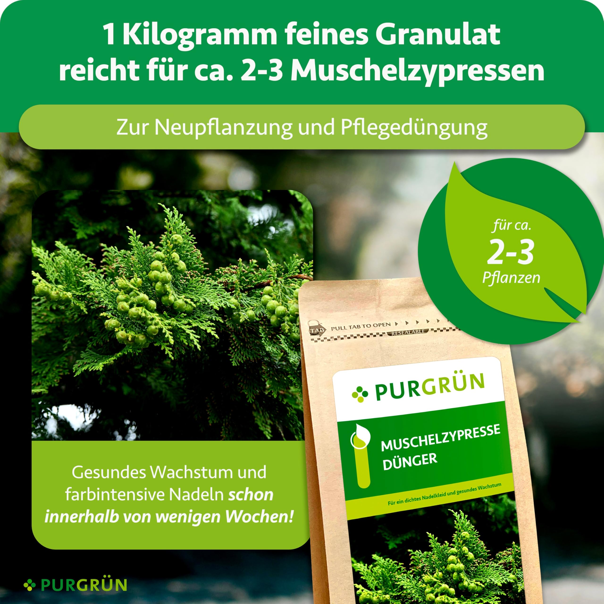 Muschelzypresse-Dünger 1 kg – Organisch-mineralische Rezeptur – Feinkörniges Krümelgranulat – NPK 9+4+8 – Extra Magnesium für leuchtend grüne Nadeln – Verbessert die Bodenqualität