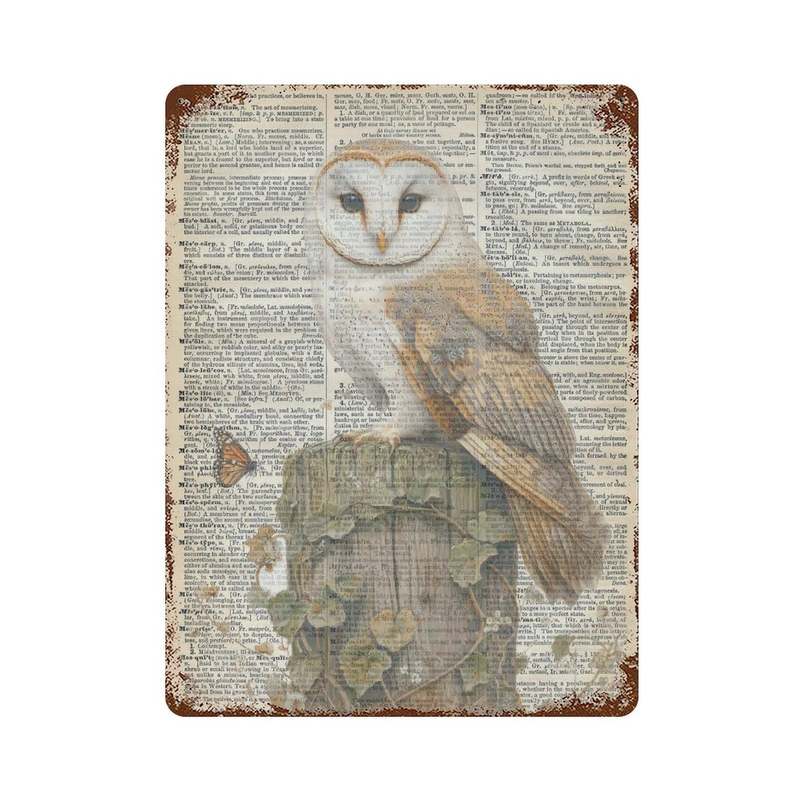 xiaoxiaoshen Barn Owl Encyclopedia Vintage Nature Cottagecore Decor Scientific Bird Illustration Wall Decor Art Metal Tin Poster Modern Home Decor Art Home Bar Shop Decorations Vintage Sign 40x30cm
