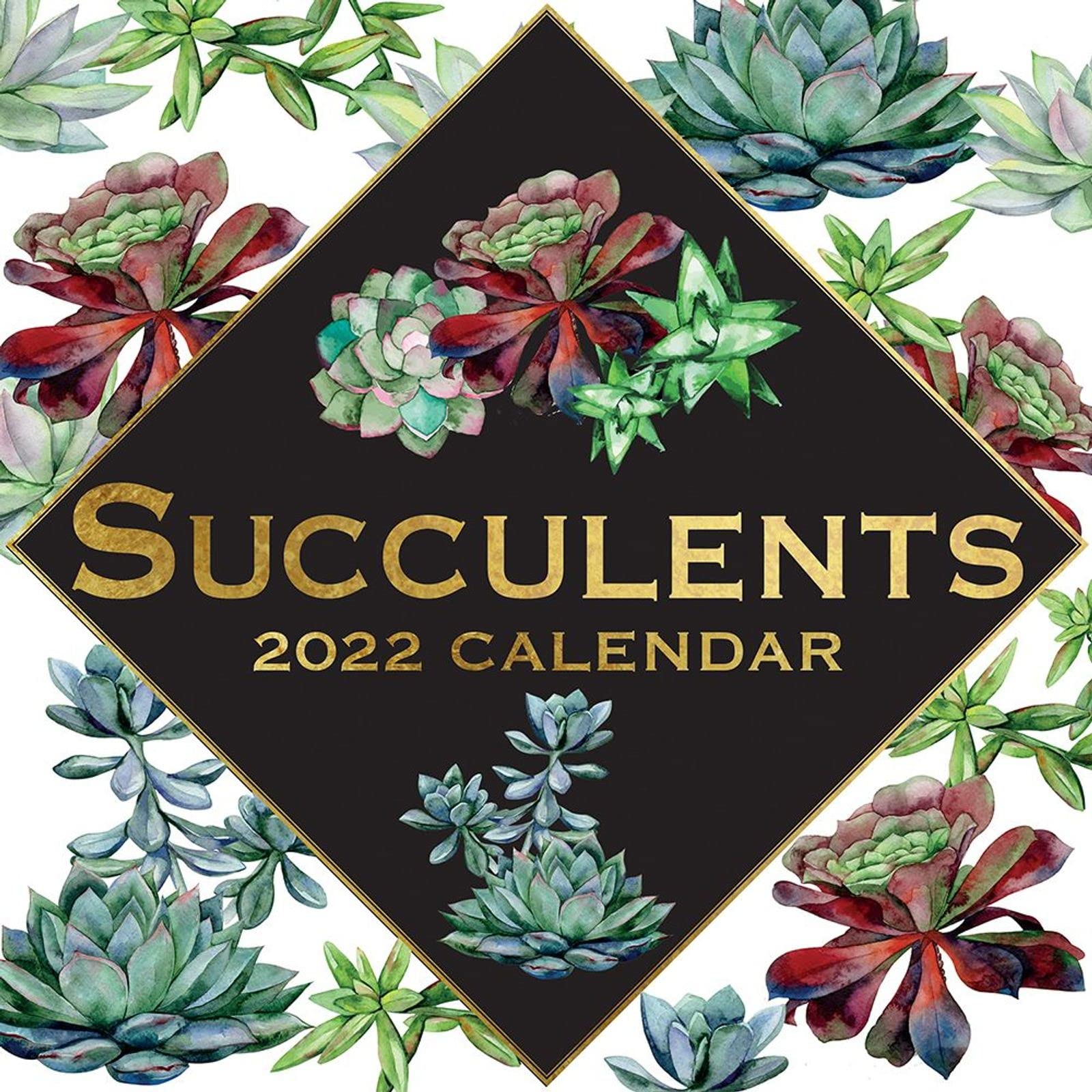 2022 Square Wall Calendar - Succulents, Plants and Botany, 12 x 12 Inch Monthly View, 16-Month, Arts & Antiques Theme, Includes 180 Reminder Stickers