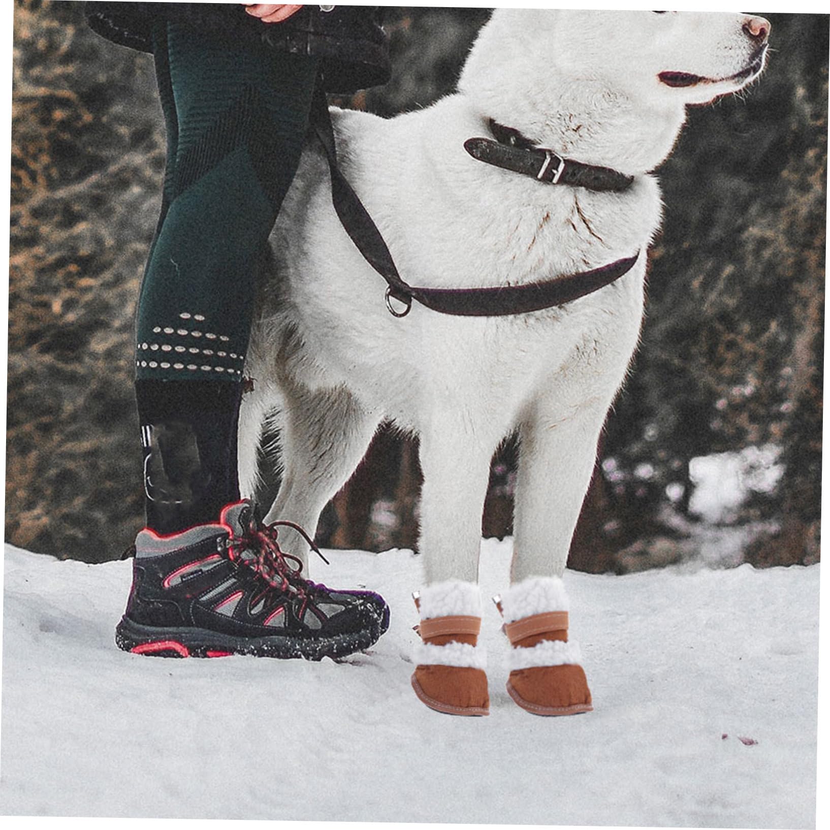 Beavorty 6paires Hiver pour Chiens Chaussures Antidérapantes Et Isolantes pour Animaux Parfaites pour Sorties Neige Froid