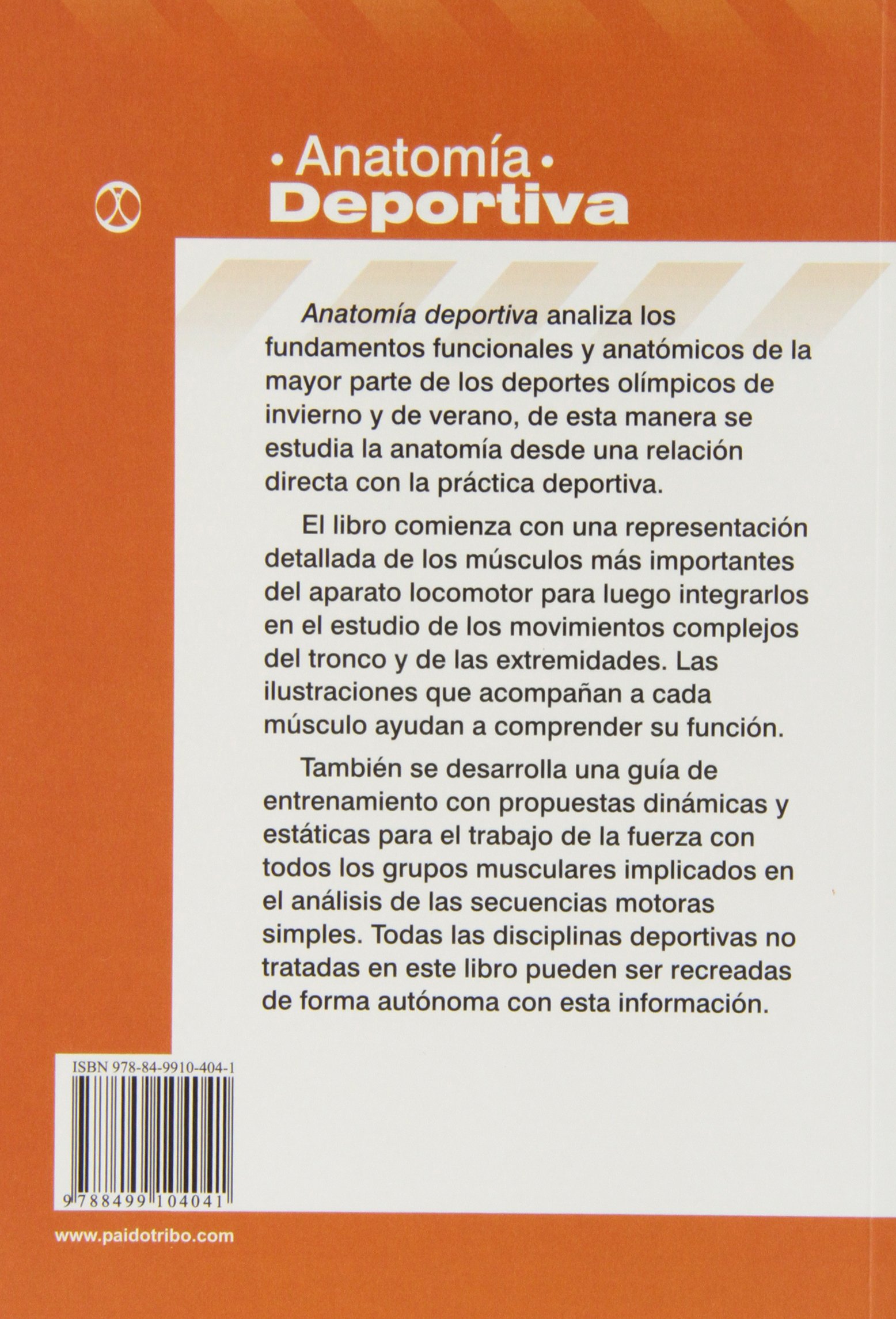 Anatomía deportiva (Medicina)