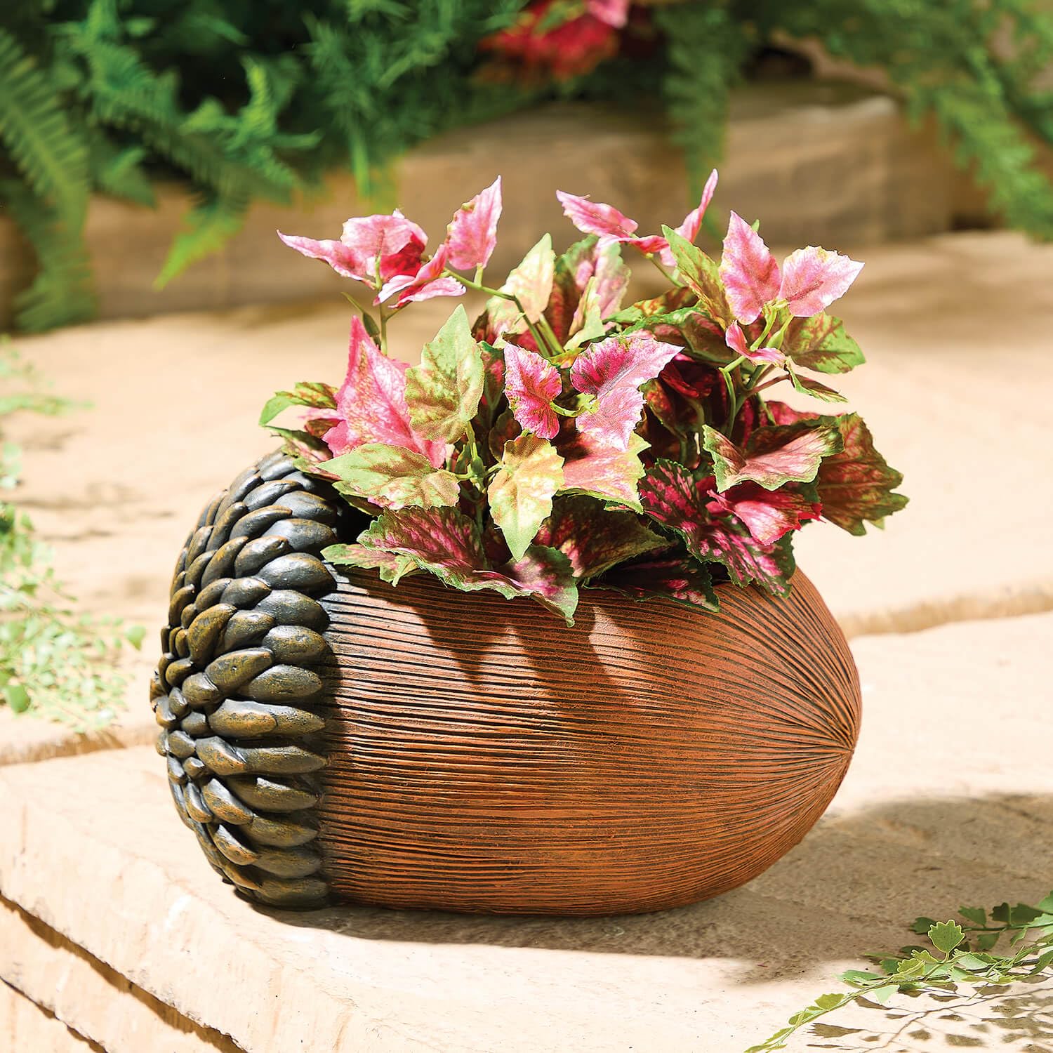 Coopers of Stortford Resin Acorn Planter Flower Pot With Drainage Holes Indoor Or Outdoor | Balcony, Patio, Porch, Garden
