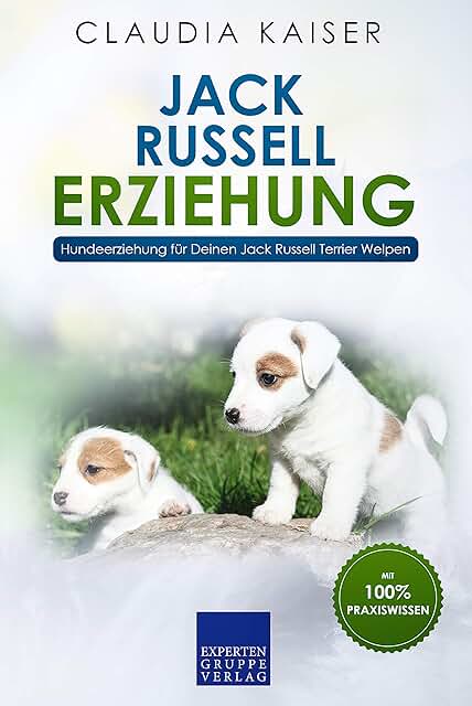 Jack Russell Erziehung: Hundeerziehung für Deinen Jack Russell Terrier Welpen product image