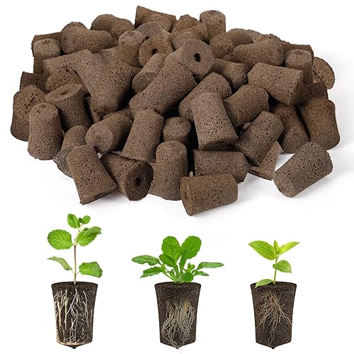 100 esponjas iniciadoras de semillas para germinar rápidamente, esponjas de crecimiento de raíces de repuesto, tapones rápidos, raíces de flores