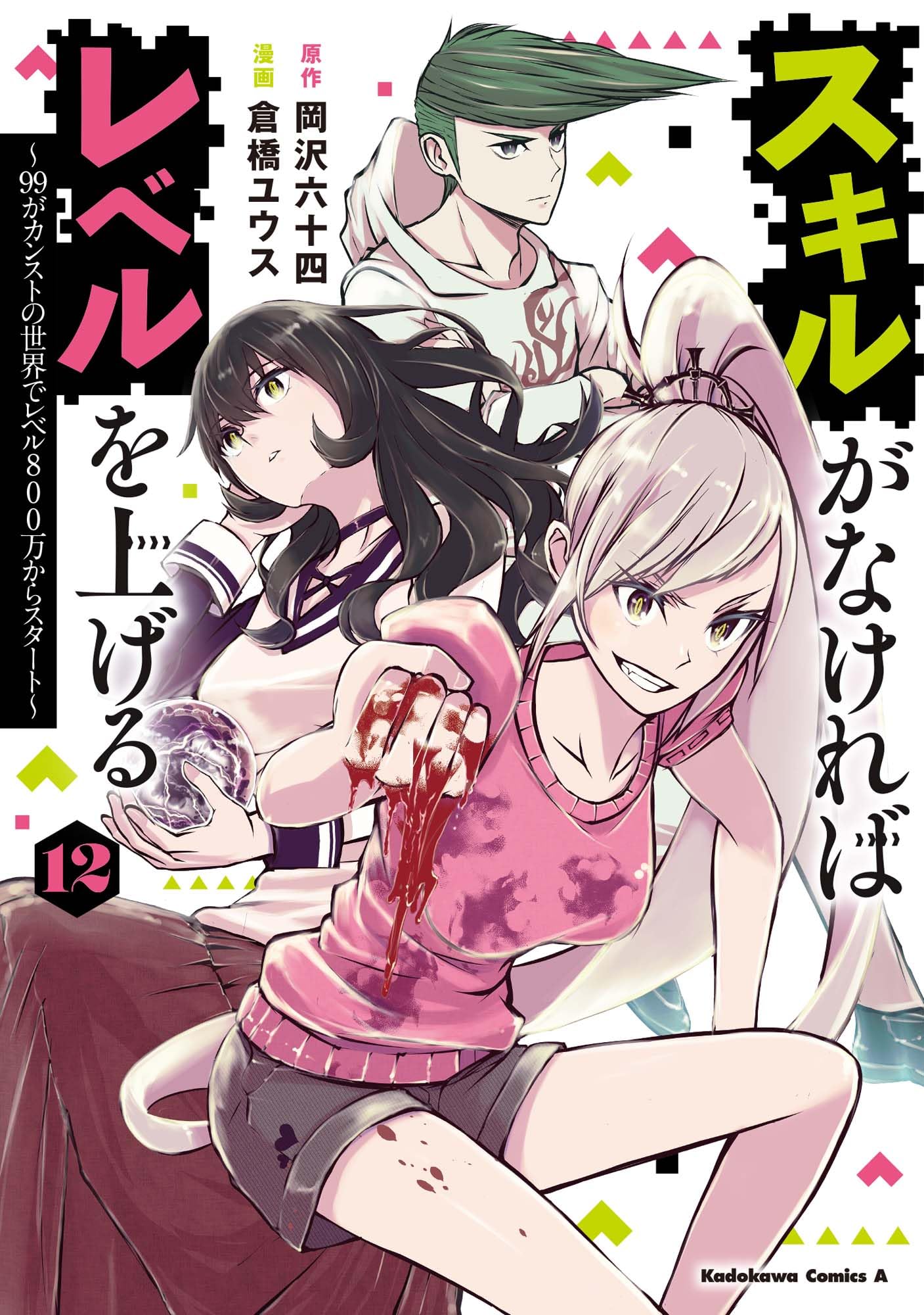 Amazon.co.jp: スキルがなければレベルを上げる (12) ~99がカンストの