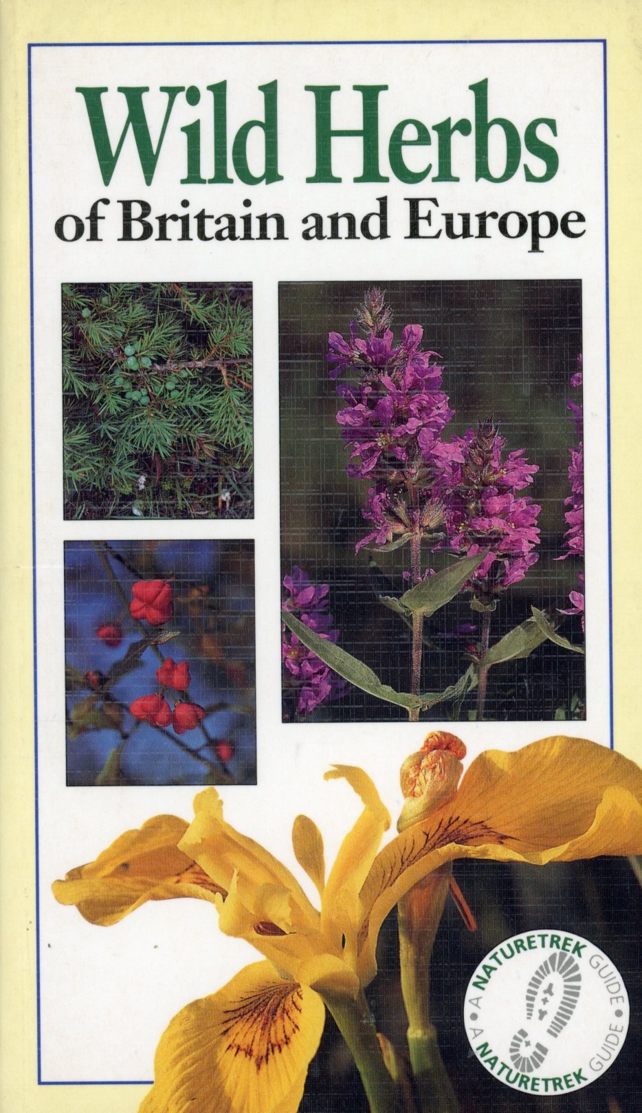 Wild Herbs (Naturetrek)