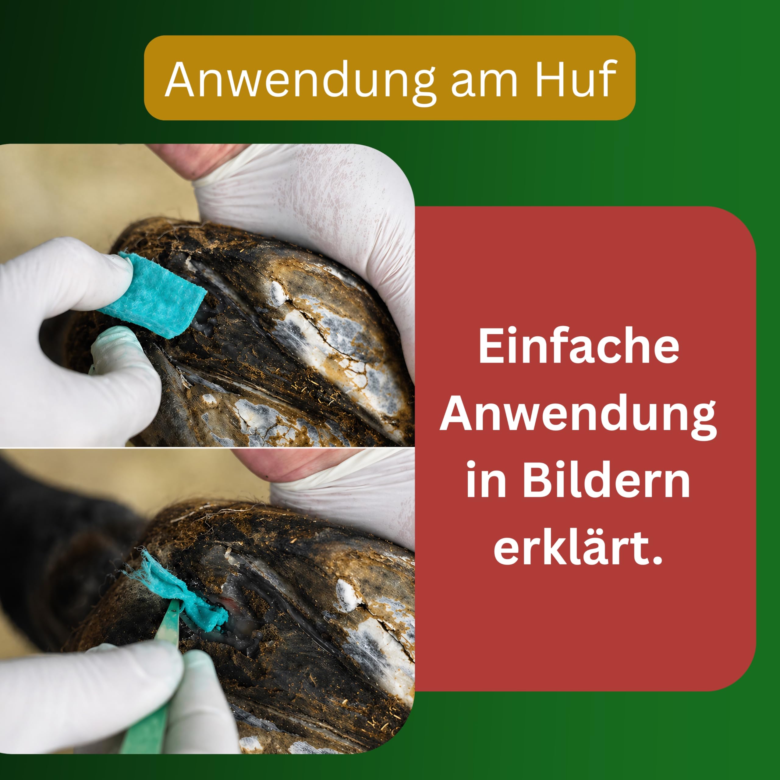 Hornpads Elite – Horn-Pads / Hufpflege Pads für Pferde – Premium Hufpflege bei Strahlfäule / Huffäule, Rissen & Spalten – Hufpads zur gezielten Anwendung im Strahl- und Hufbereich (Hufstrahl) (10)