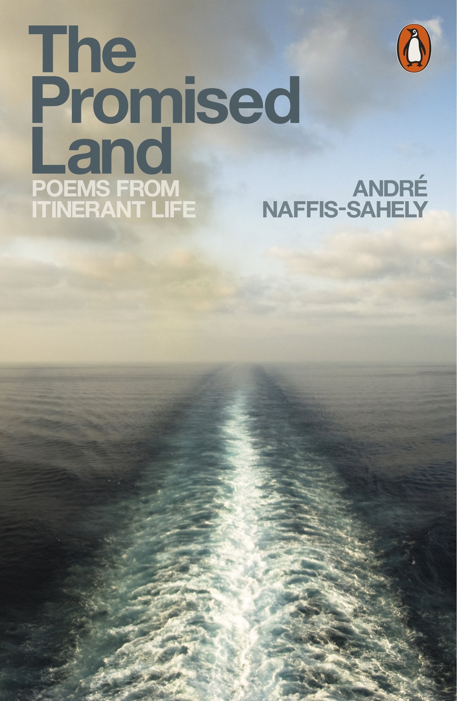 The Promised Land by Andr Naffis-Sahely - 9780141984933