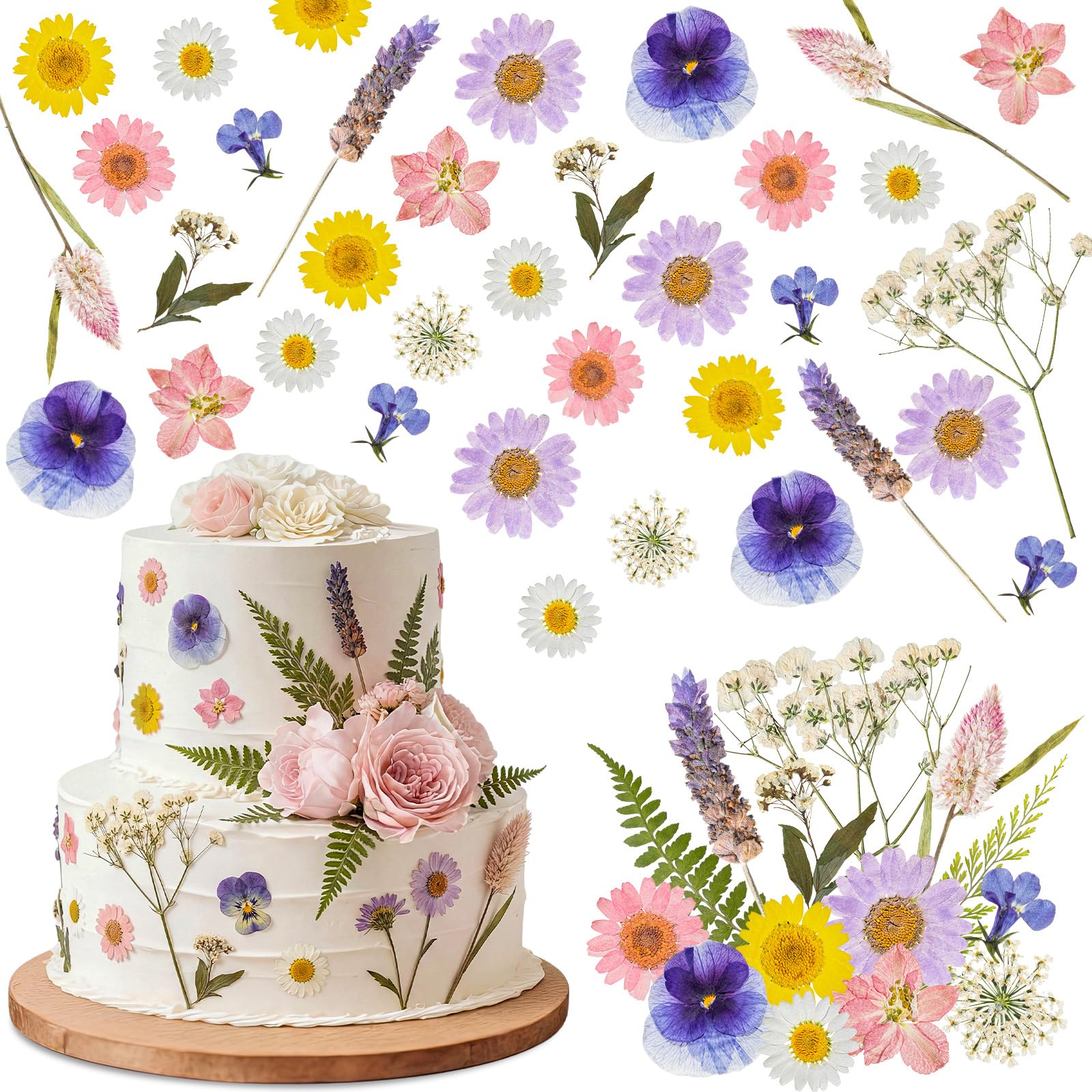 Maasechs 96 Pcs Natural Dried Pressed Flowers - dried and preserved flora | Mubboo