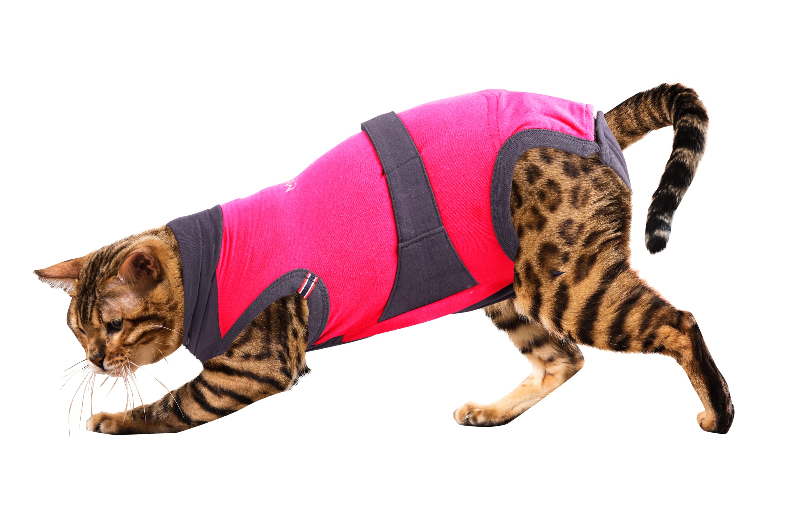 MAXX Cat Post Surgery Suit – Breathable Cat Onesie Surgical Recovery Suit for Wounds – E-Collar Alternative (4XS, Pink Grey) (B07NC9D2GY) Amazon Price History, Amazon Price Tracker