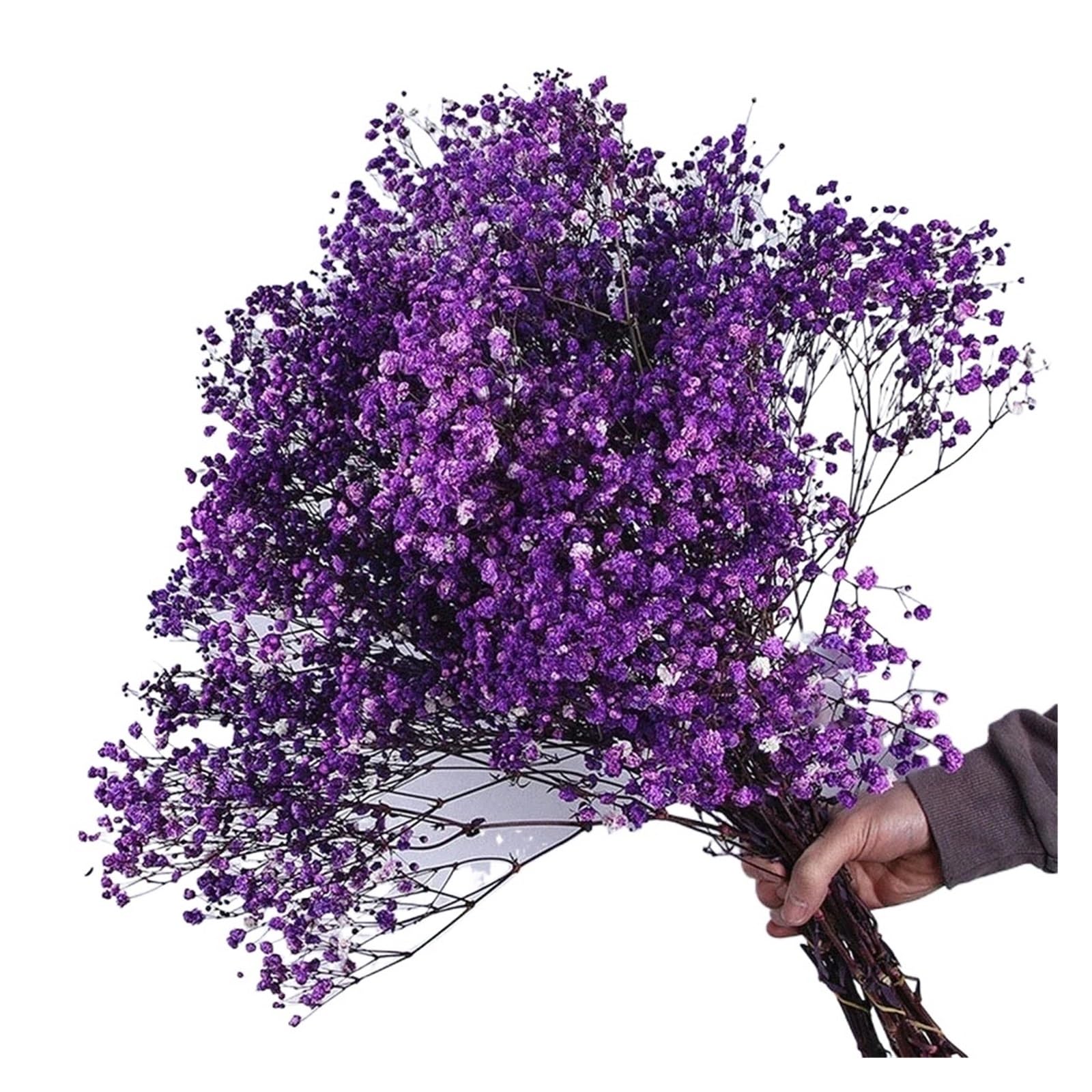 WJIAYAO dried gypsophila flowers 40-50cm Dried Flowers Gypsophila Paniculata,Baby's Breath Flower Bouquets Wedding Decoration,Home Decor(Purple,40g (40cm))