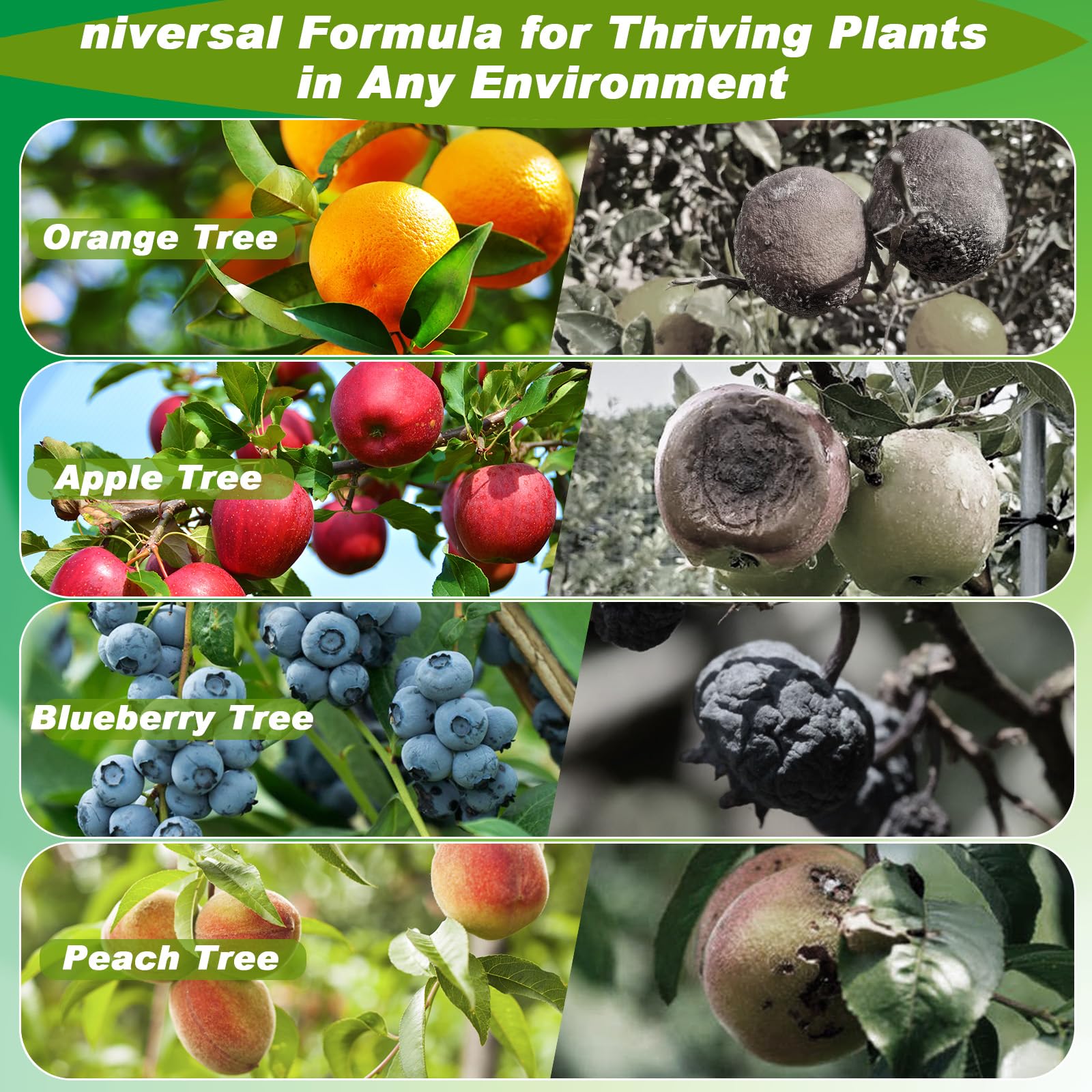 10 bolsas grandes de red para árboles frutales de 10 pies con cremallera y cordón, 4 unidades