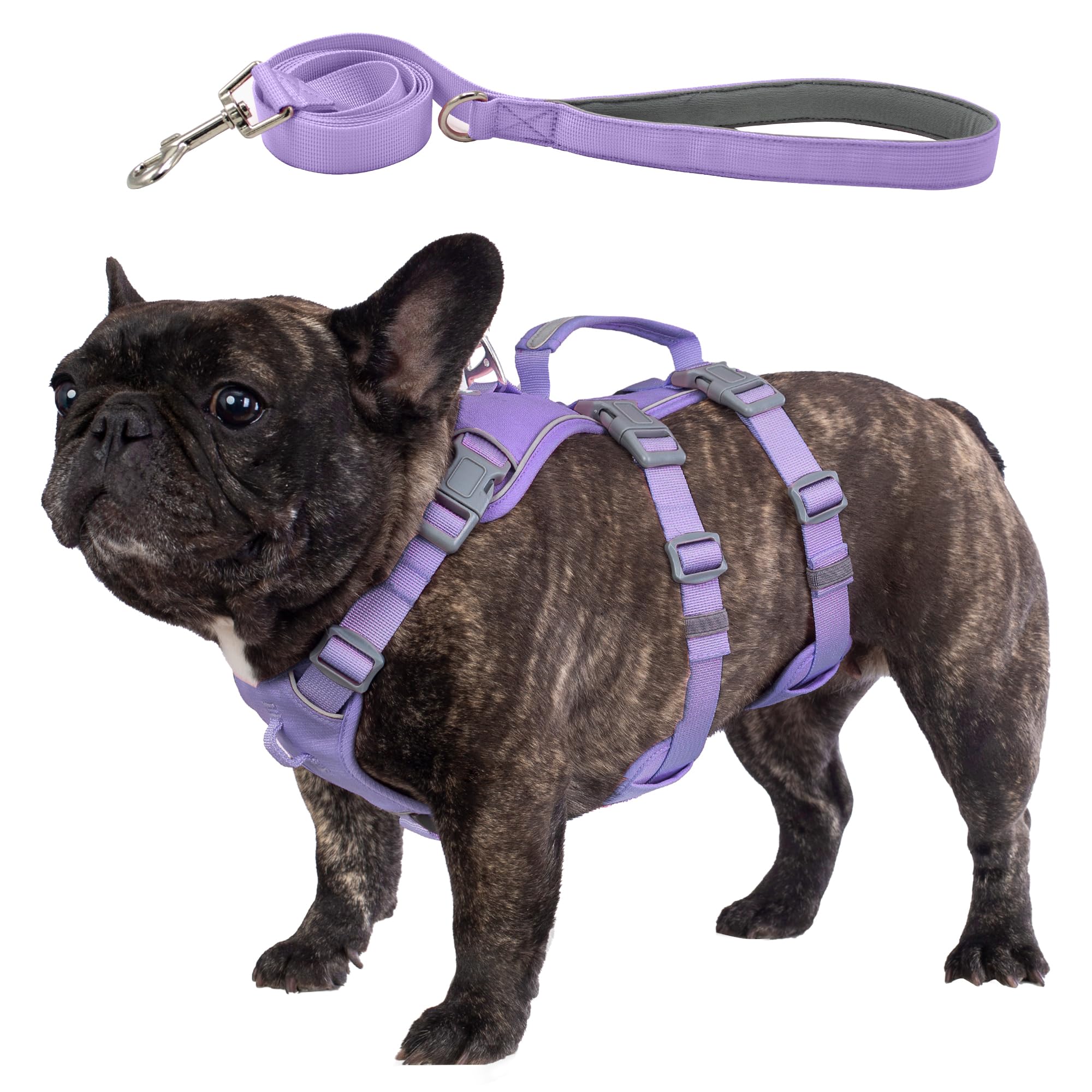 Wuffley Escape Proof Dog Harness and Leash Set, Lightweight Dog Harness with Lift and Assist Handle