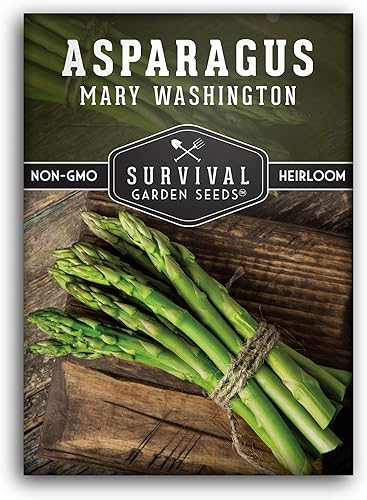 Miniatura 10 de Survival Garden Seeds - Semilla de espárragos Mary Washington para plantar - 3 paquetes con instrucciones para plantar y cultivar plantas perennes