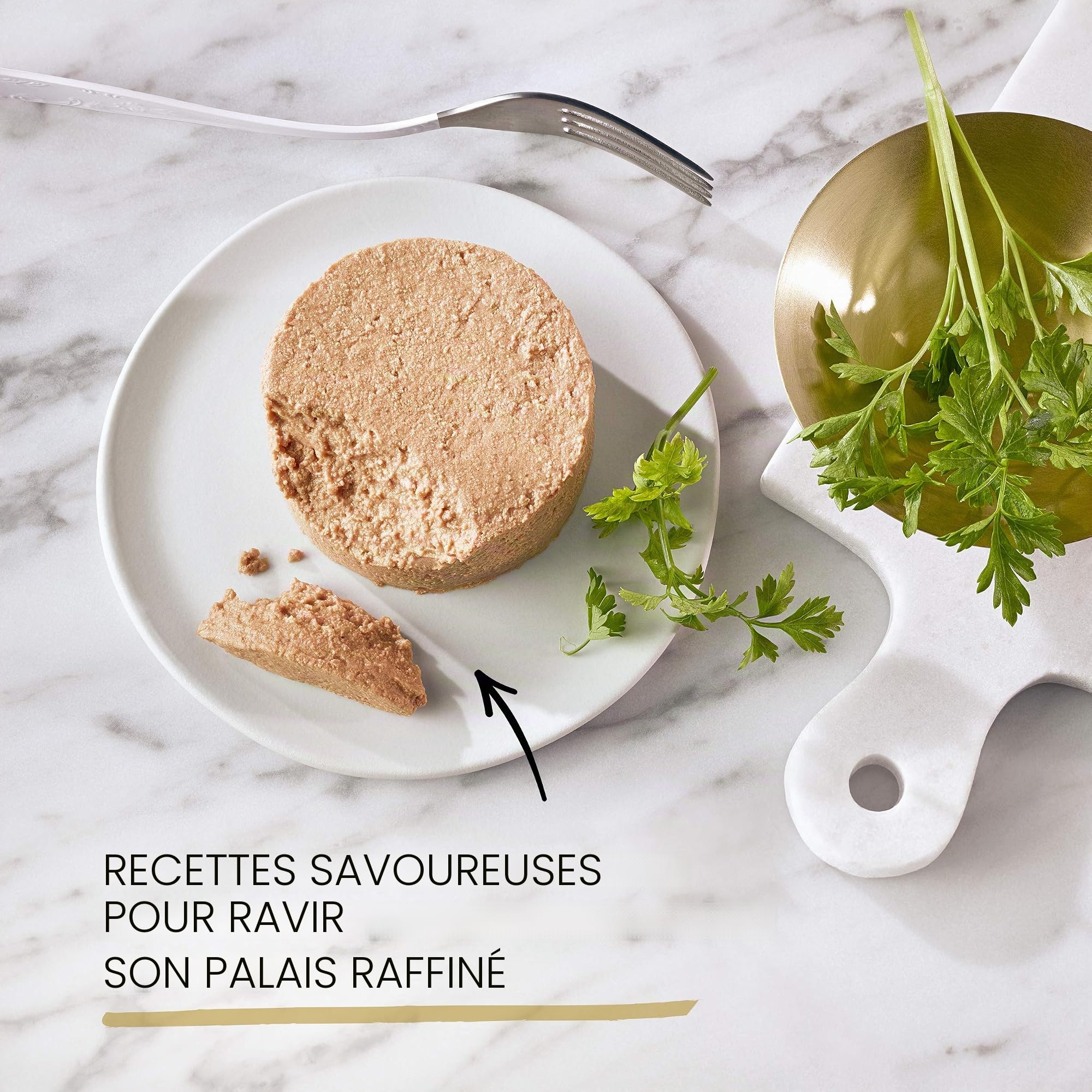 Gourmet Purina Gold Nourriture Humide Mousse pour Chat au Poisson de l'océan – 24 boîtes de 85 g chacune (Pack de 24 x 85 g)