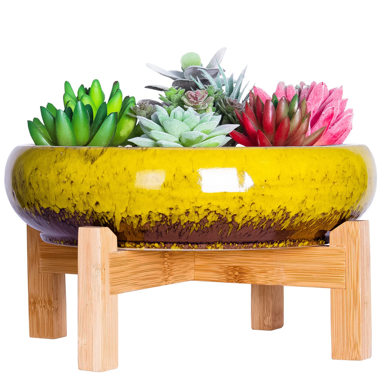 ARTKETTY Vaso Per Piante Grasse In Ceramica Giallo, 28,8x6,5 Cm, Con Foro Di Drenaggio E Sottovaso In Bambù, Grande Per Cactus E Bonsai - 5