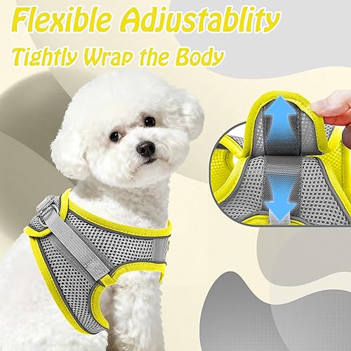 Miniatura 51 de AIITLE Arnés Escalonado para Perro y Juego de Correa - Chaleco Arnés a Prueba de Escape Sin Tirones con Malla Suave y Bandas Reflectantes, Arneses