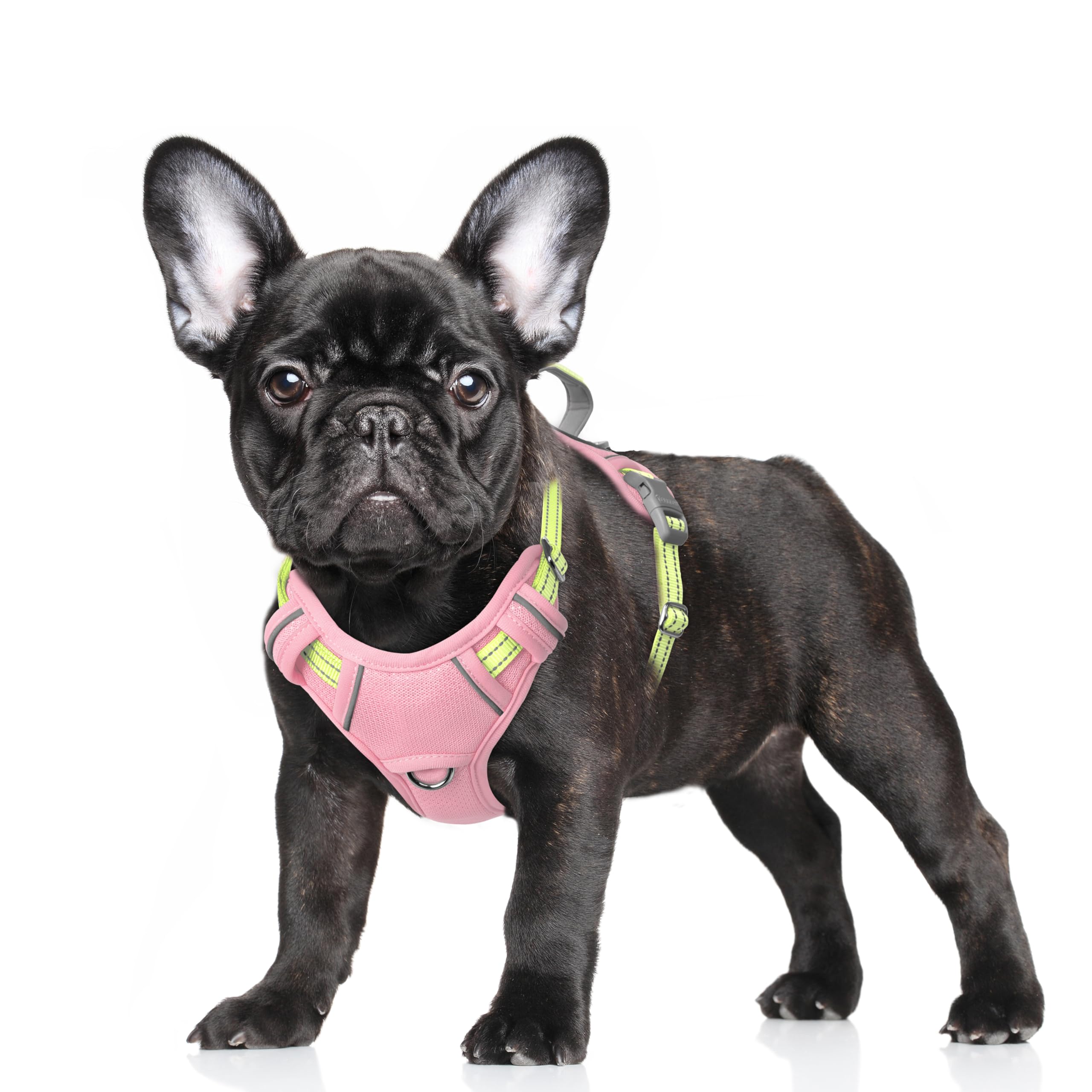 BARKBAY No Pull Dog Harness Large Reflective Dog Harness with Front Clip and Easy Control Handle for Walking Training Running with ID tag Pocket(Baby Pink & Sunlight,S)