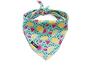 Reversible Adjustable Lemon Dog Bandana