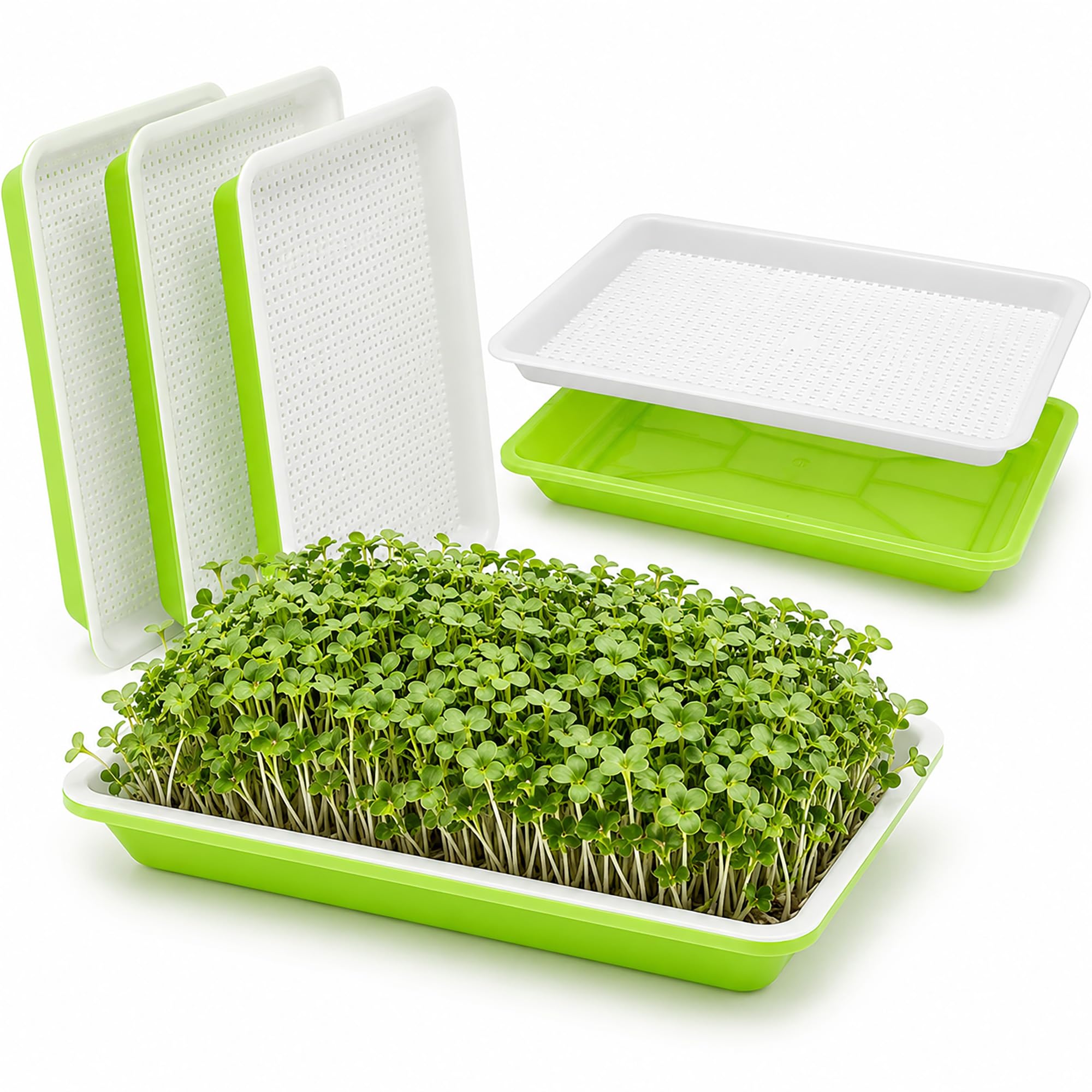 SOOZR 3 Pack Microgreens Growing Kit, Sprouting Trays with Mesh Inserts