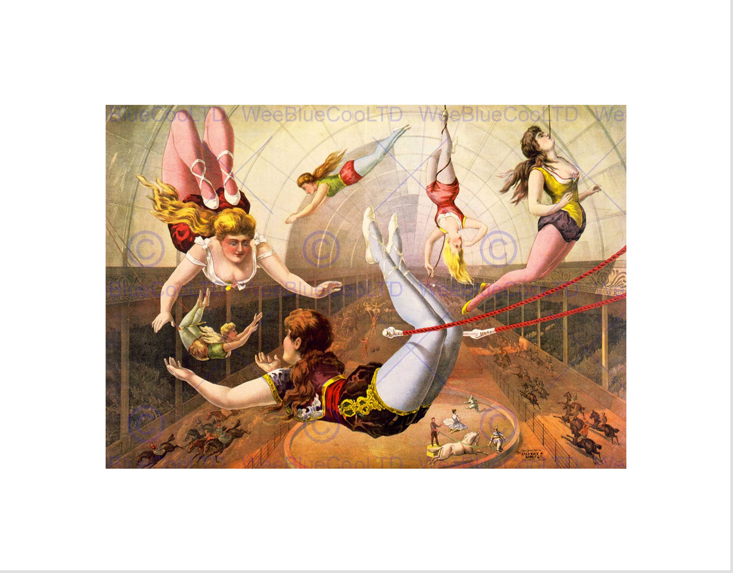 Wee Blue Coo Paintings Cultural Circus Acrobat Trapeze Act USA Wall Art Print