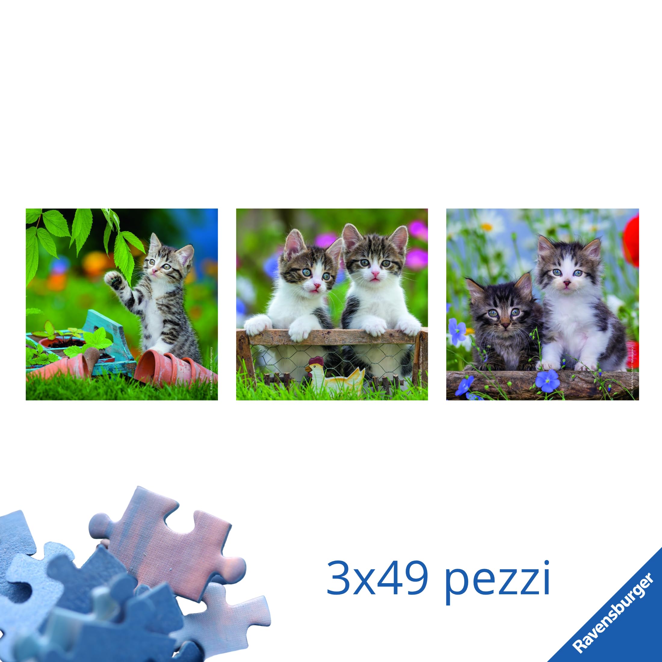 Ravensburger Puzzle Meraviglie Sottomarine 3x49 Pezzi Per Bambini 5+ - Con Poster, 21x21 Cm - 4