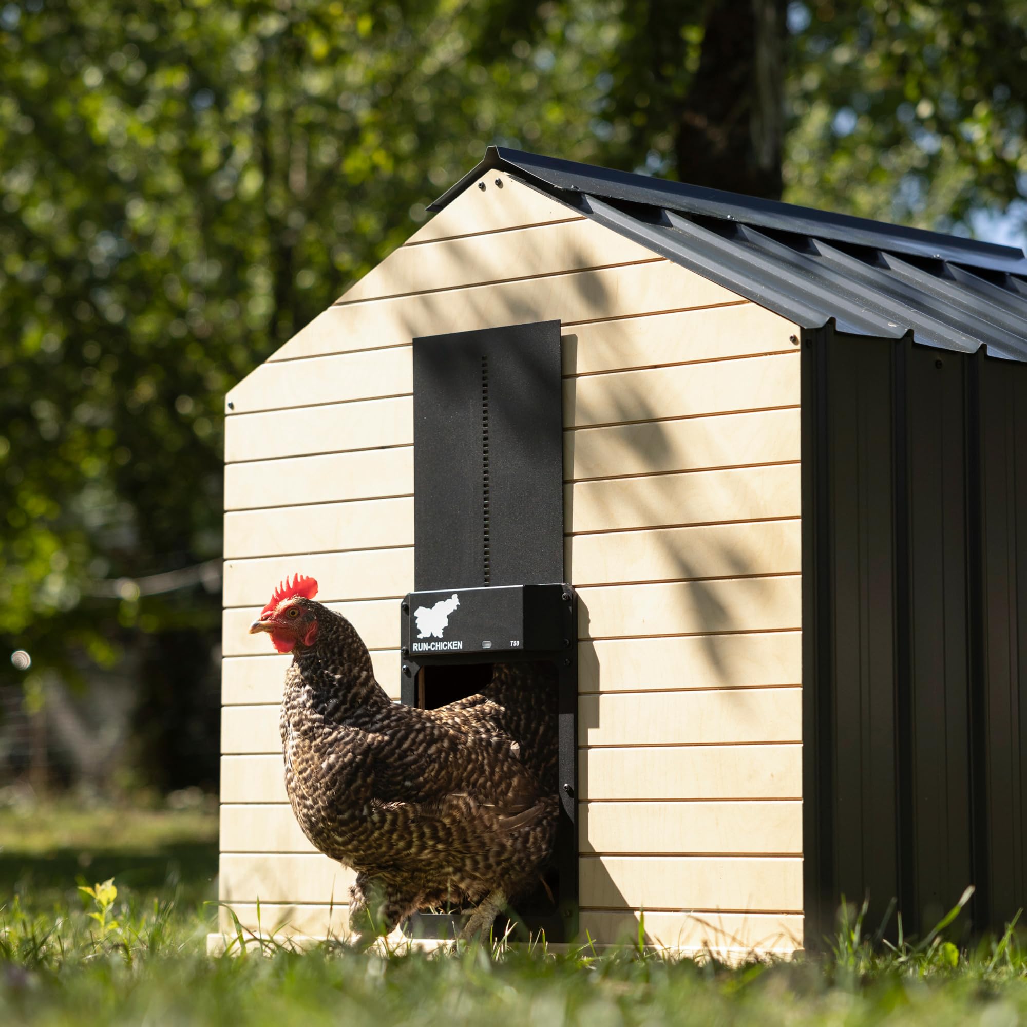 Run‑Chicken Door T50 Onyx – Puerta automática Negra para gallineros, Aluminio Resistente, Control por App, Sensor de luz y Temporizador con retardo, Apta para Exteriores