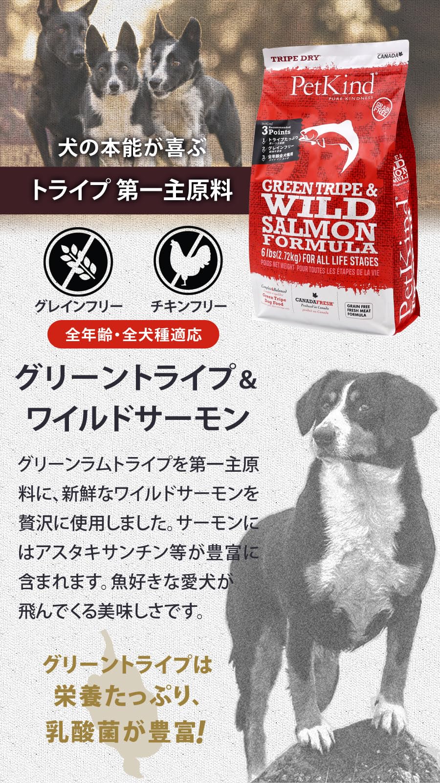 Petkind Green Tripe & Wild Salmon Dry Dog Food 6 Lb