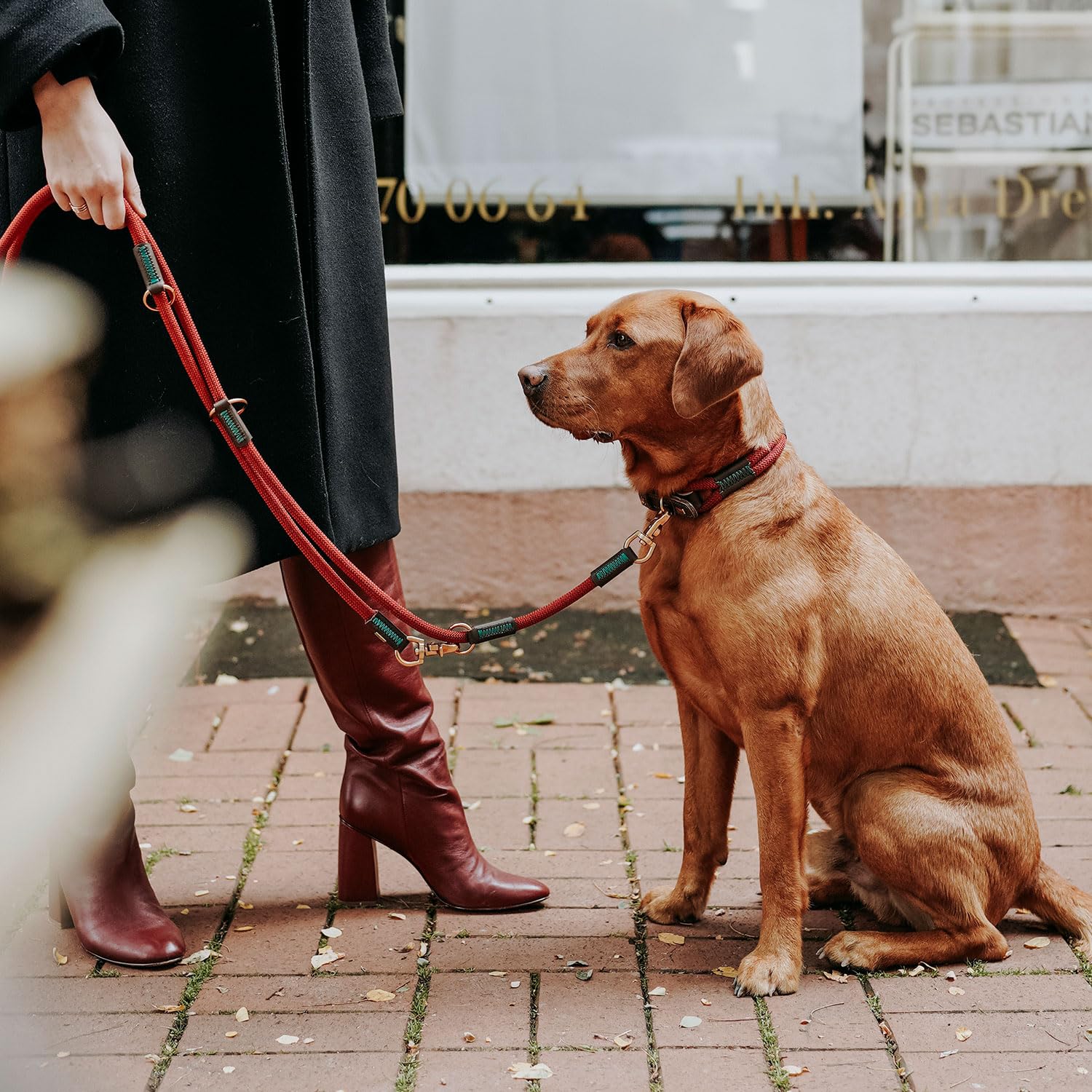 HUNTER Correa Ajustable para Perros Malia, Color: Rojo Vino y marrón Oscuro, Cuerda Flexible y Piel Resistente, Ajustable en 3 Posiciones, Ligera, Resistente, Aspecto Moderno, Fabricado en Alemania