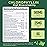 Chlorophyll Gummies - Super Green with Wheat Grass, Sea Moss, Unfiltered ACV & Elderberry, Echinacea, Zinc Complex & Vitamin D3, C, E, B12 for Natural Deodorant, Immune & Digestion Support, 60 Chews