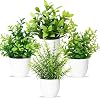 4 PCS Mini Artificial Potted Plants, Small Fake Plants Faux Plastic Potted Plants Artificial Plants Indoor Decorative Greenery Plants for Office Desk Bathroom 4, Green-white pot