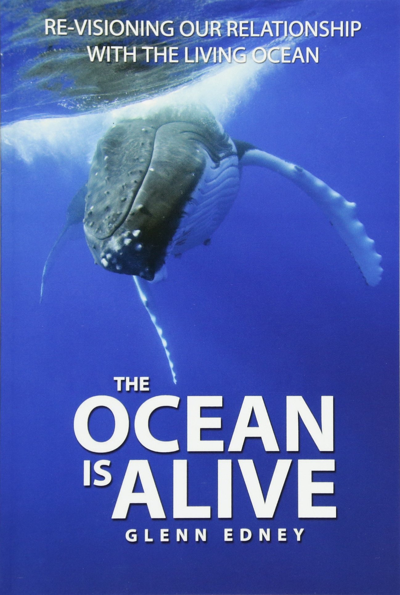 The Ocean Is Alive: Re-visioning Our Relationsh. Edney<|