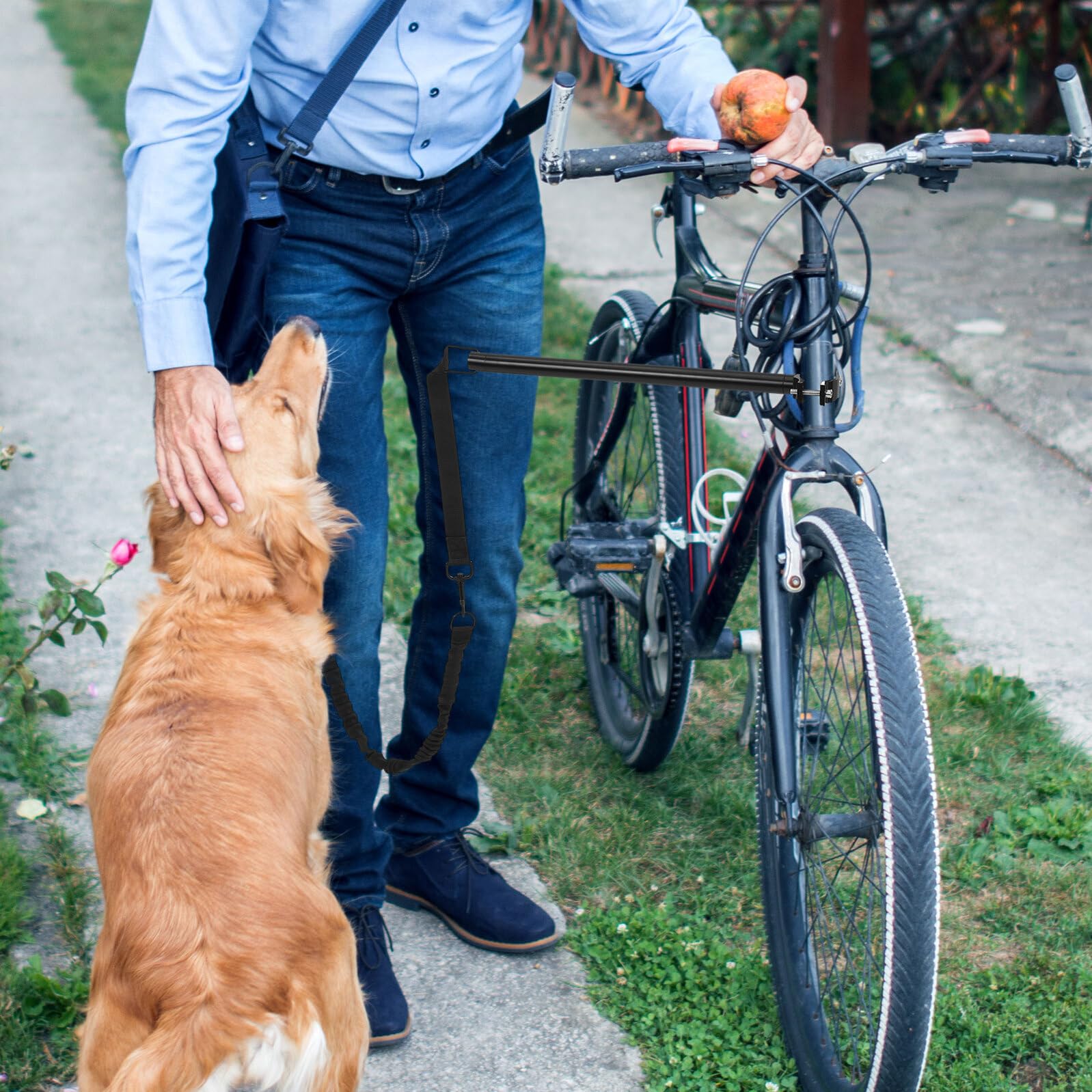 ibasenice Guinzaglio per Cani da Bicicletta, Allungabile e Resistente, Oxford e Lega, Comoda Tracolla, per Cani Piccoli e Medi, Trekking e Viaggio
