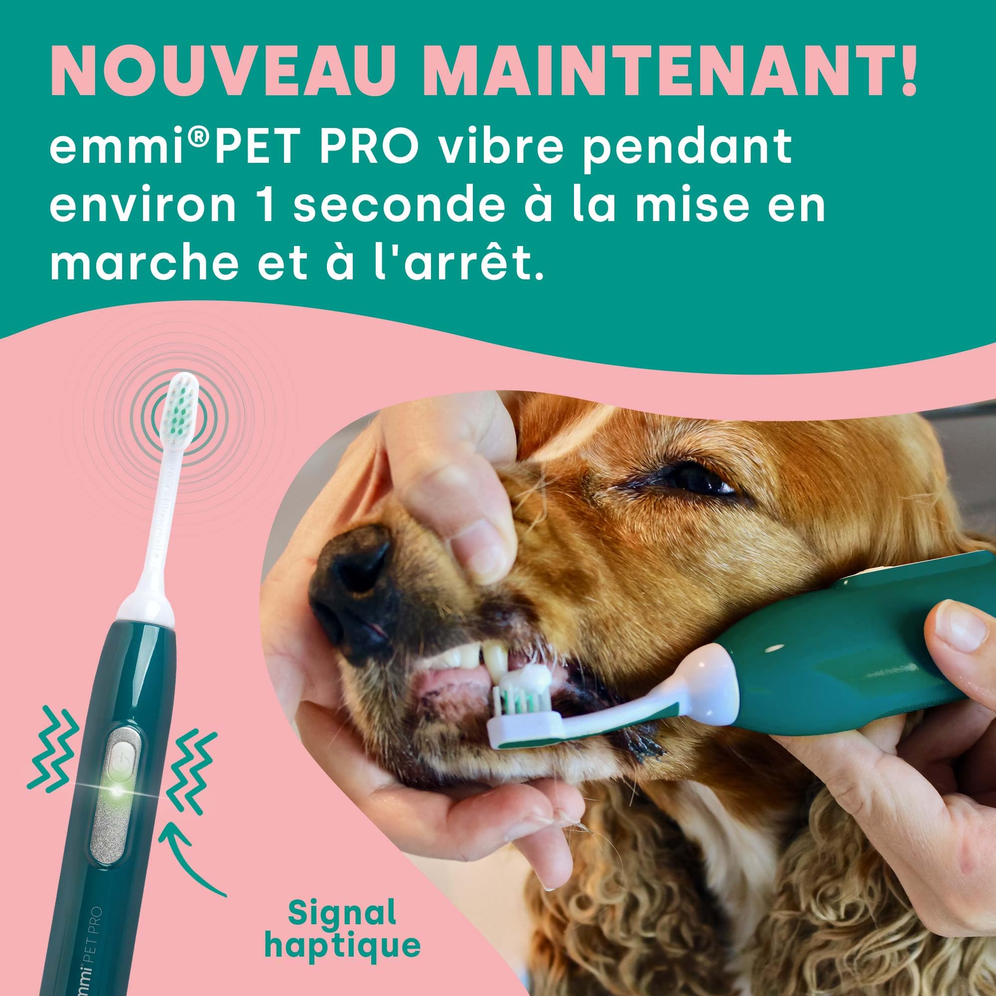 emmi-pet PRO Brosse à dents ultrasonique pour chiens - Brosse à dents silencieuse pour chiens et chats sans frottement avec 96 millions de vibrations - Prévient le tartre et les inflammations