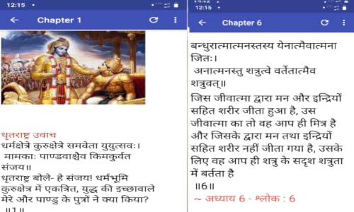 Bhagavad Gita Hindi Sar – vue 3