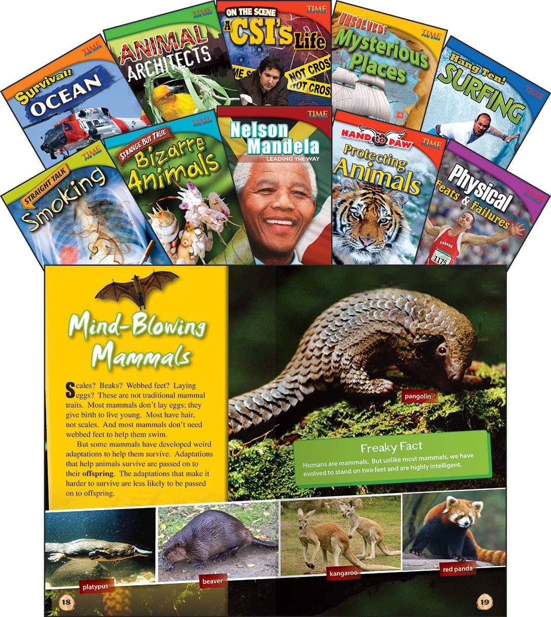 Teacher Created Materials - TIME For Kids Informational Text: Set 2 - 10 Book Set - Grade 4 - Guided Reading Level Q - S