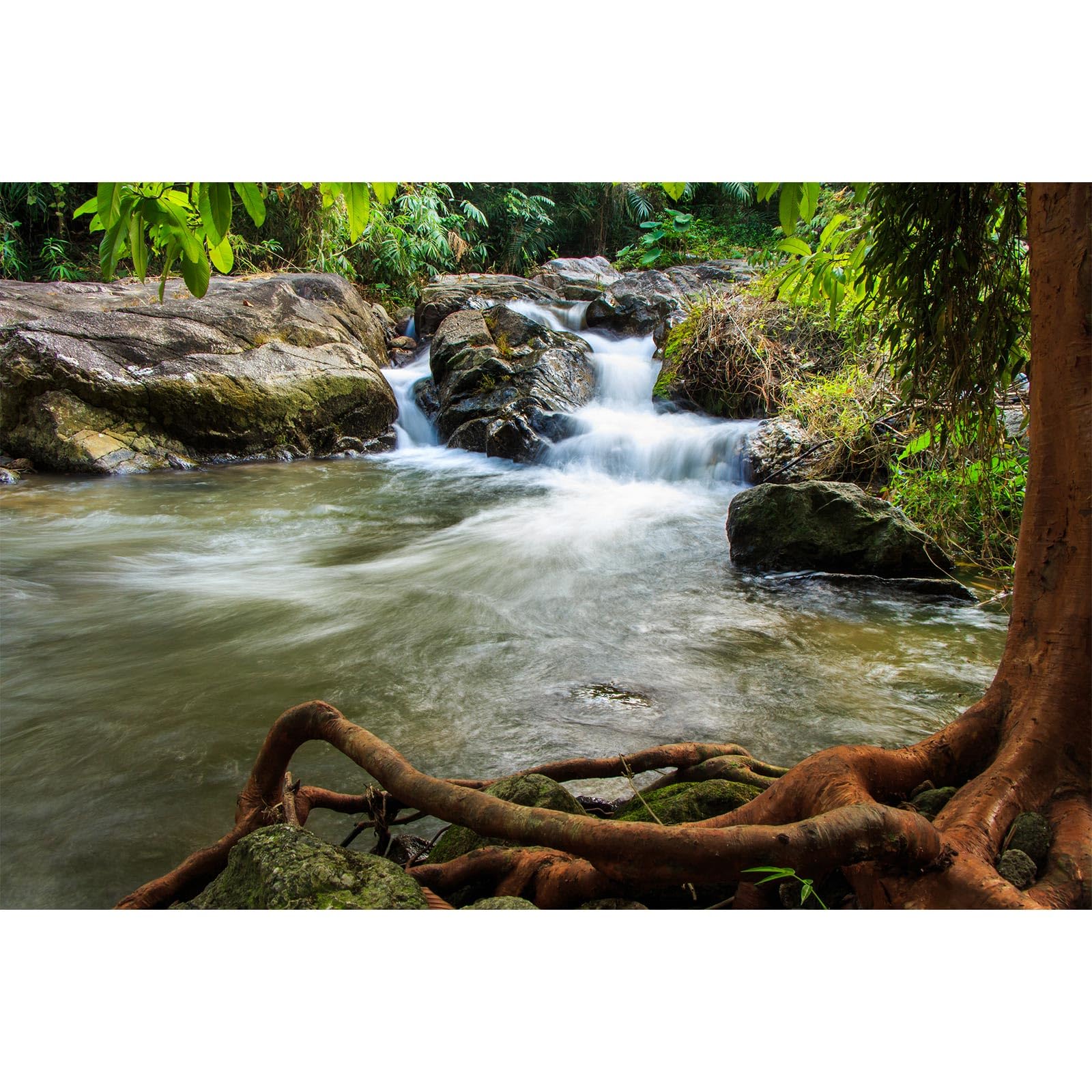 Waterfall Aquarium Background Natural Jungle Rainforest Landscape Terrarium Background Jungle Style Stream Fish Tank Background Waterfall Rainforest Reptile Habitat Background Poster Vinyl 24x16in