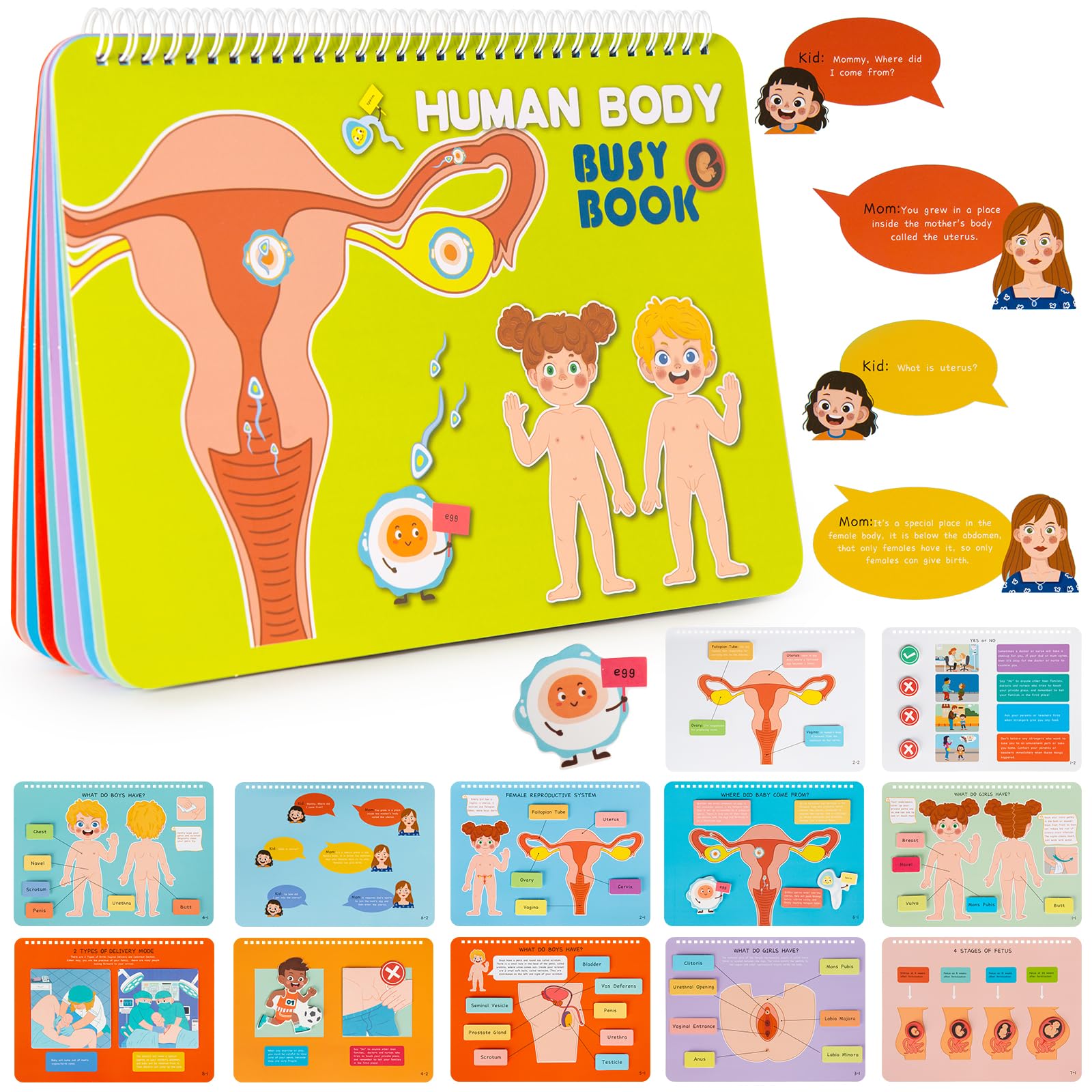 Freebear Montessori Busy Book for Kids, Human Body Anatomy Book for Toddlers, Preshool Kindergarten Learning Activities, Autism Sensory Toys, Gifts for Girls and Boys 4-7 Years- Human Body Procreation