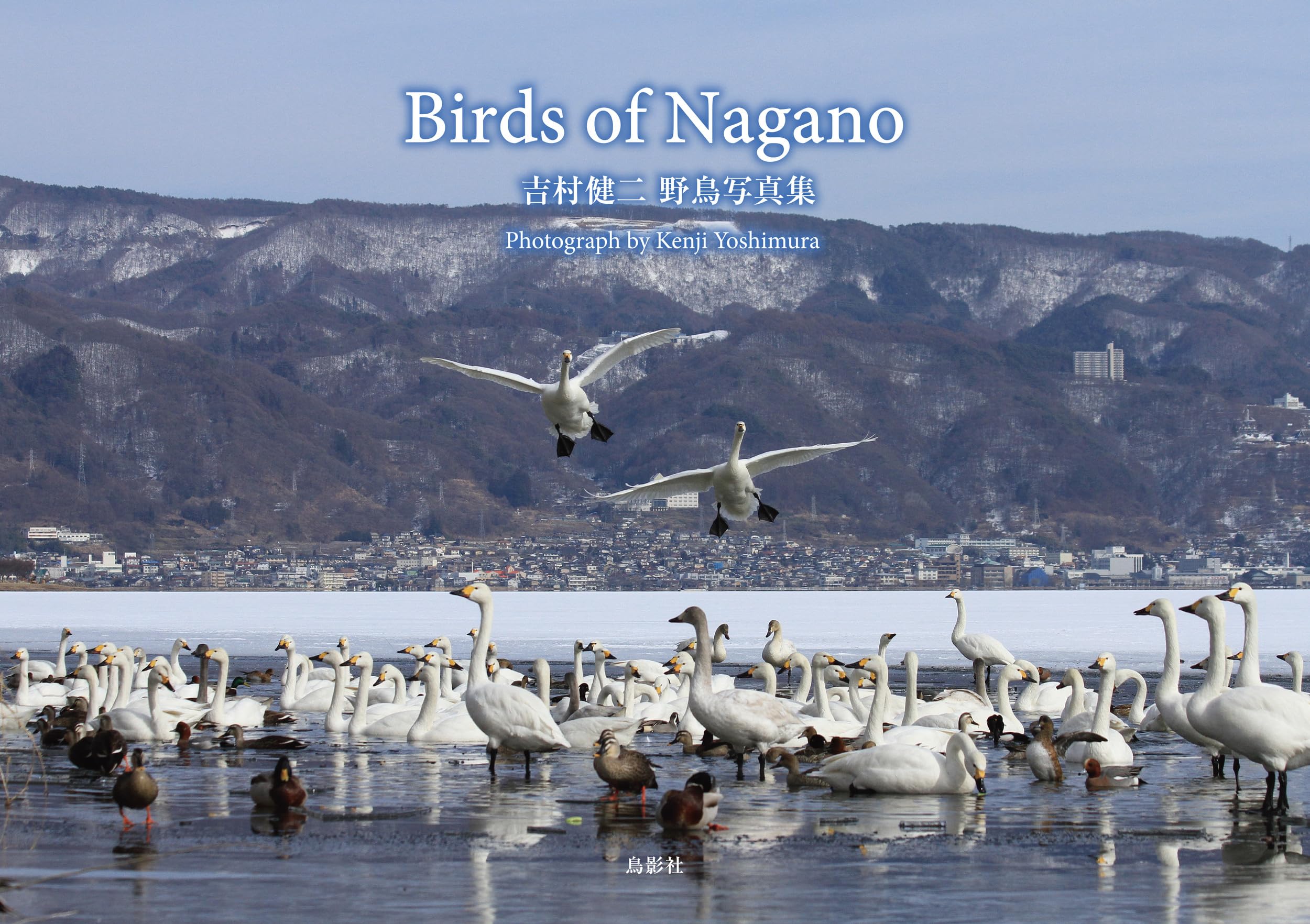 Birds of Nagano 吉村健二 野鳥写真集 | 吉村 健二 |本 | 通販 | Amazon