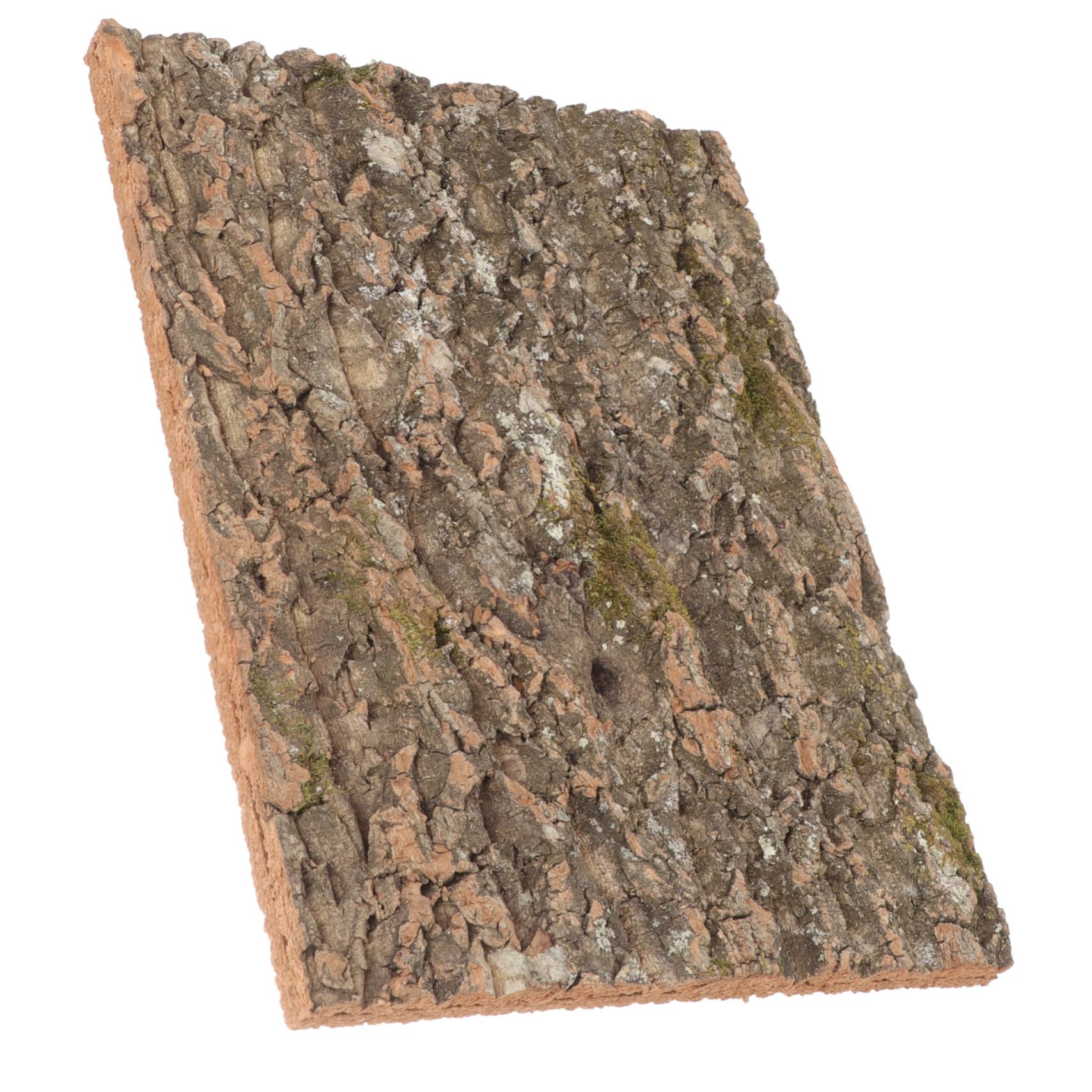 UPKOCH Corteza De Corcho para Reptiles Diseño Natural, Plataforma para Lagartos y Fondo Decorativo para Acuarios De Reptiles En Hábitat Simulado