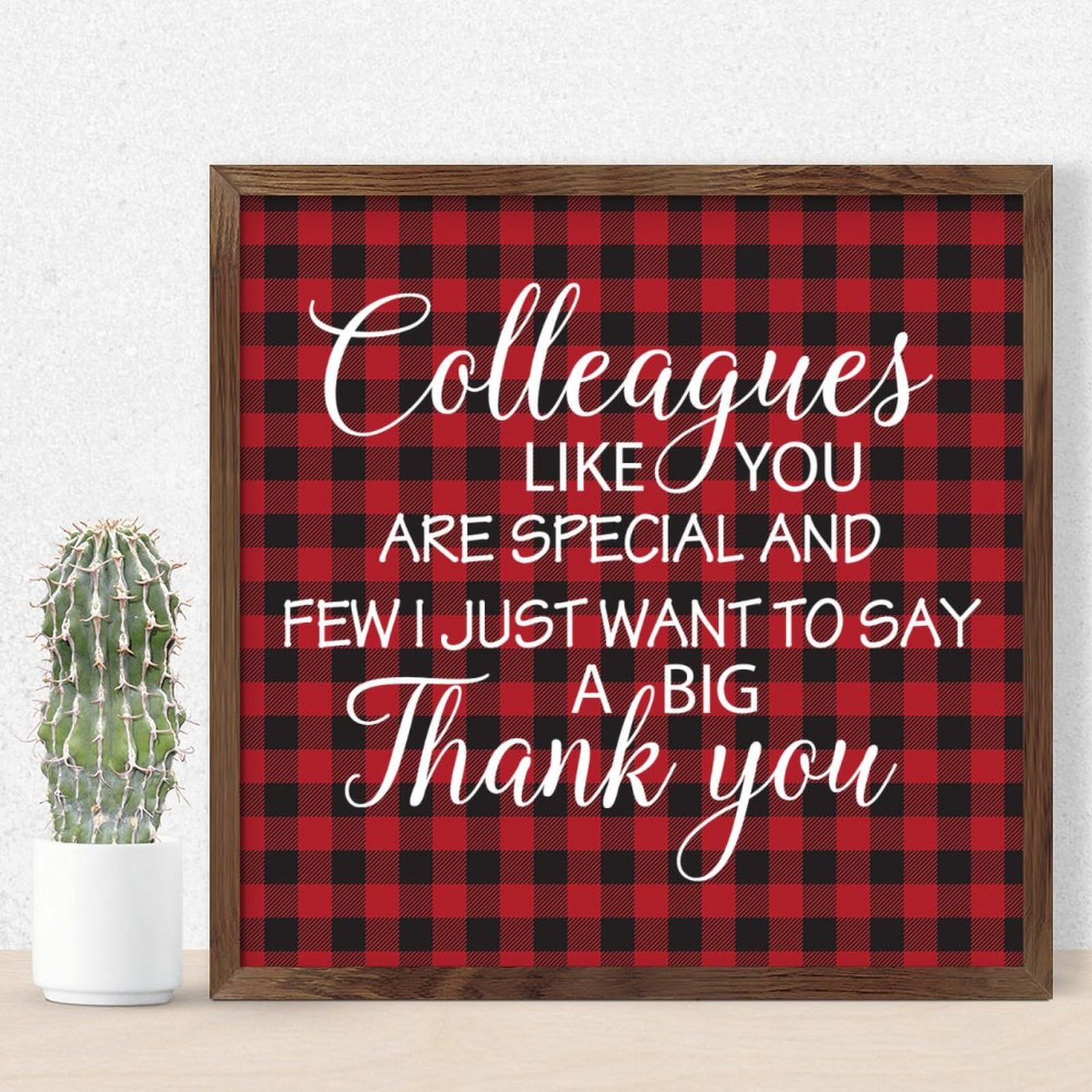 Cadre bois rétro Colleagues Like You Are Special pour fenêtre et mur de bureau