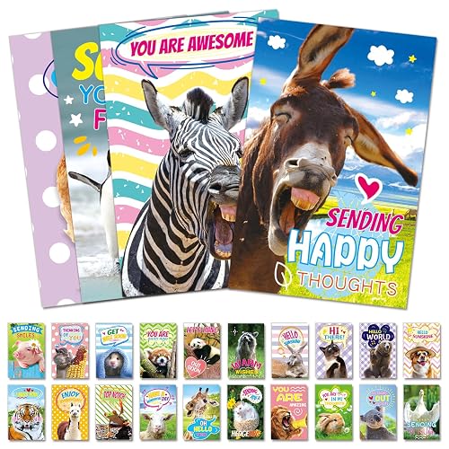 FindFunFine Funny Animal Greeting Cards Postcards 58 cards | Unique Greeting Cards Bulk, Thinking of You Missing You Note Cards, 4x6 Postcards, Gifts for Friends Teacher