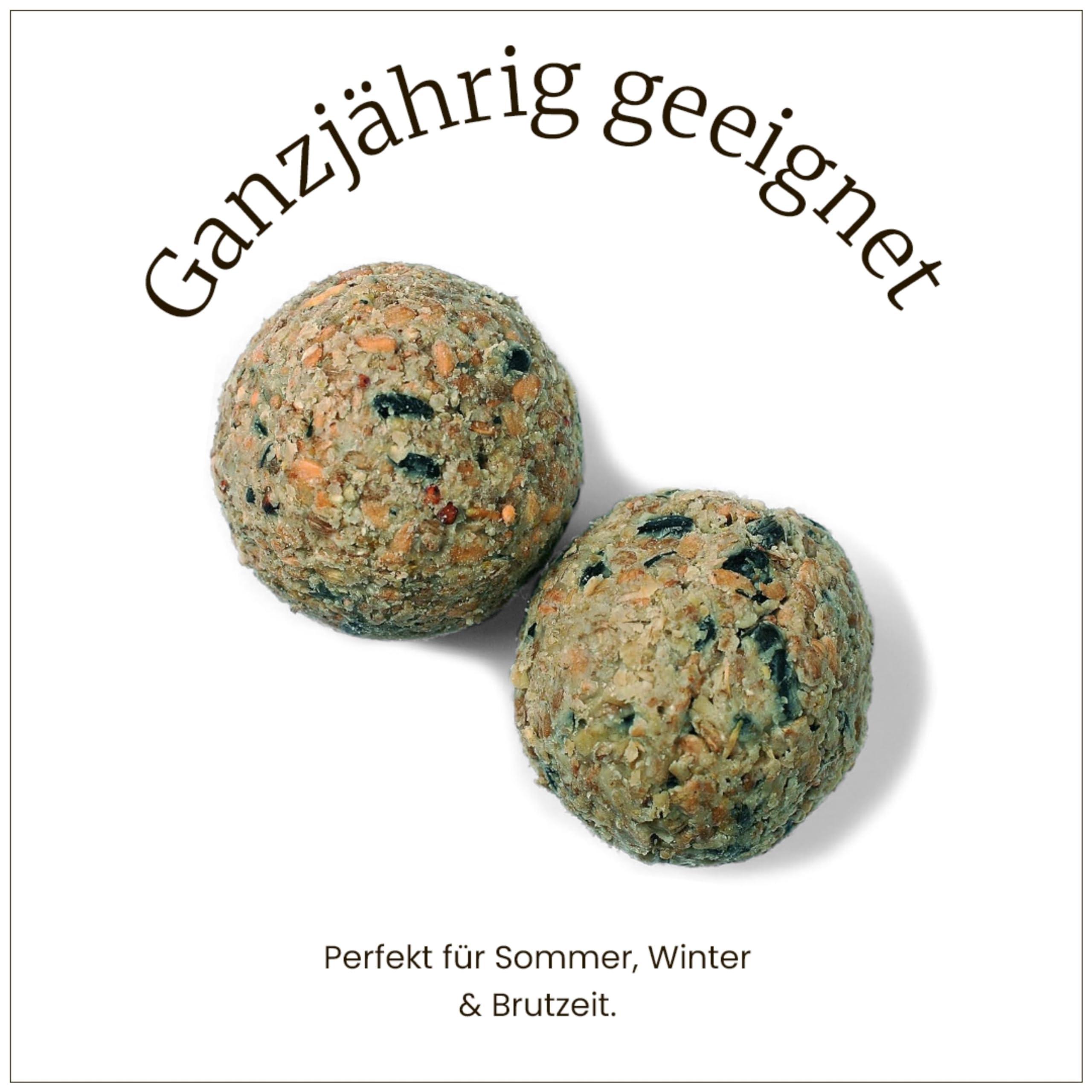 Erdtmanns Meisenknödel ohne Netz 35 Stück im Eimer 3 kg – Wildvogelfutter mit Getreideflocken & Sonnenblumenkernen – umweltfreundlich & ganzjährig – ohne Plastiknetz