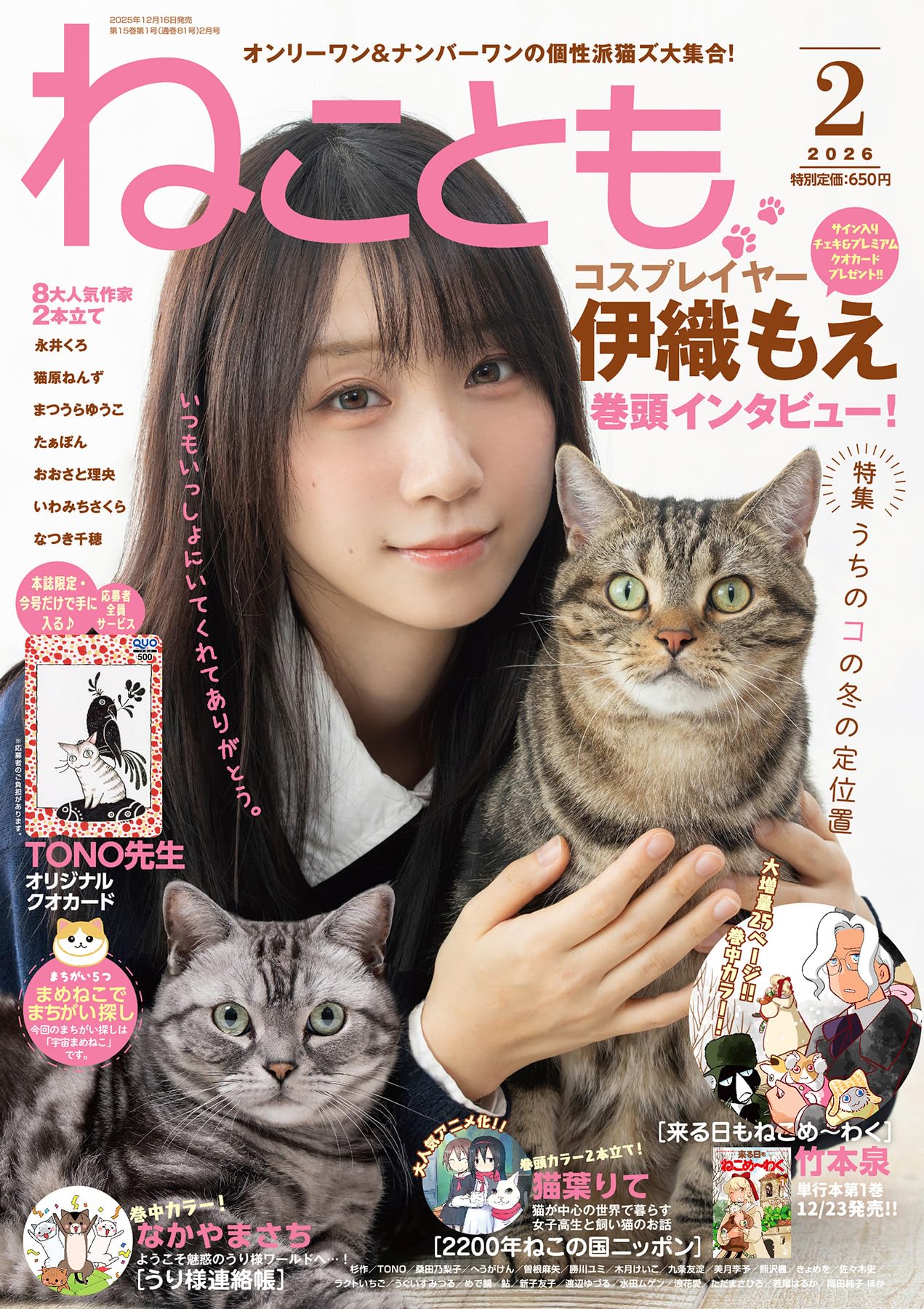 萌猫 Amazon.co.jp: ねことも2026年2月号 (2026年2月号) : 本