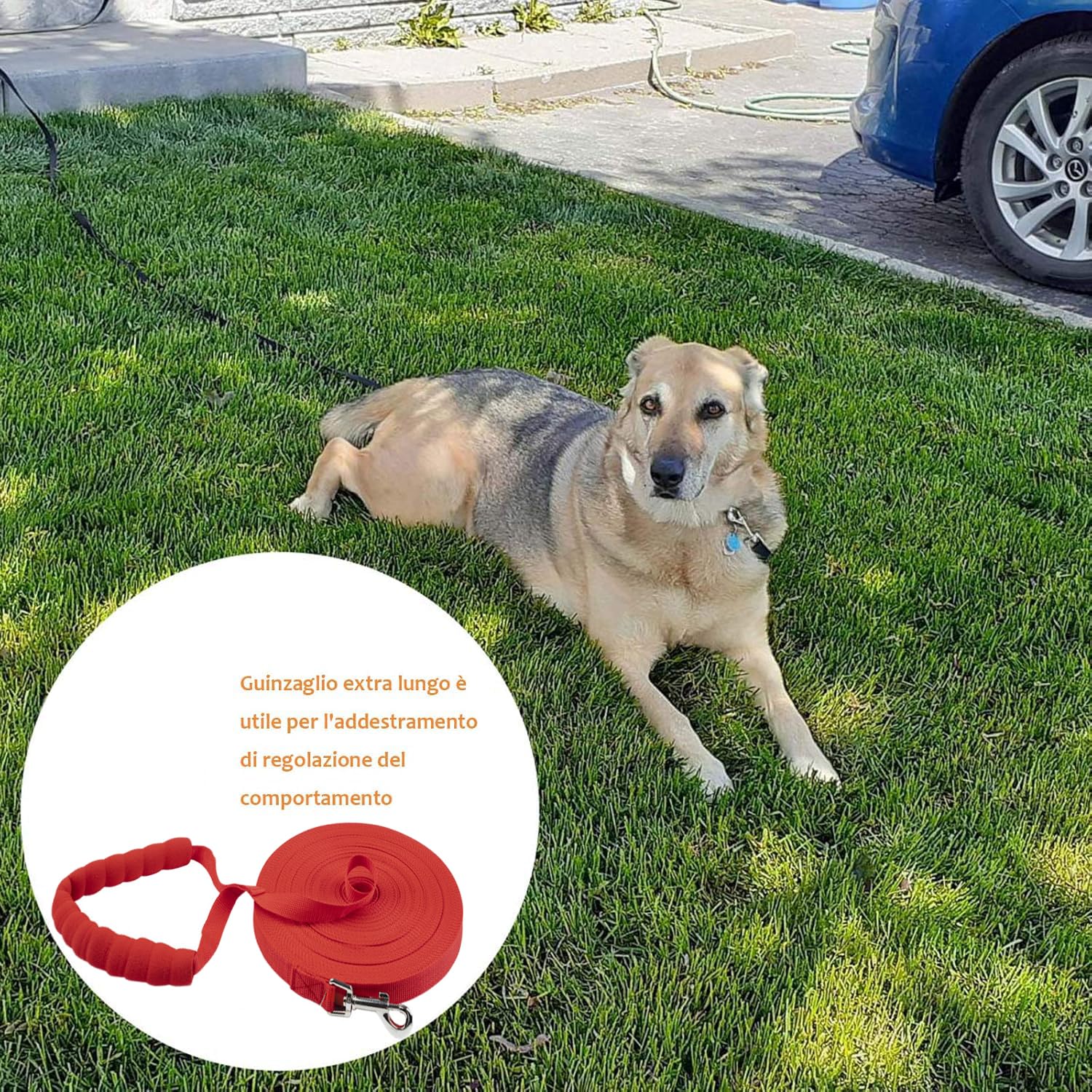 Eyeleaf Guinzaglio Addestramento per Cani Lungo Guinzaglio per Cani con Impugnatura Imbottita in Nylon Fibbia Zinco Lega per Tutti i Cani